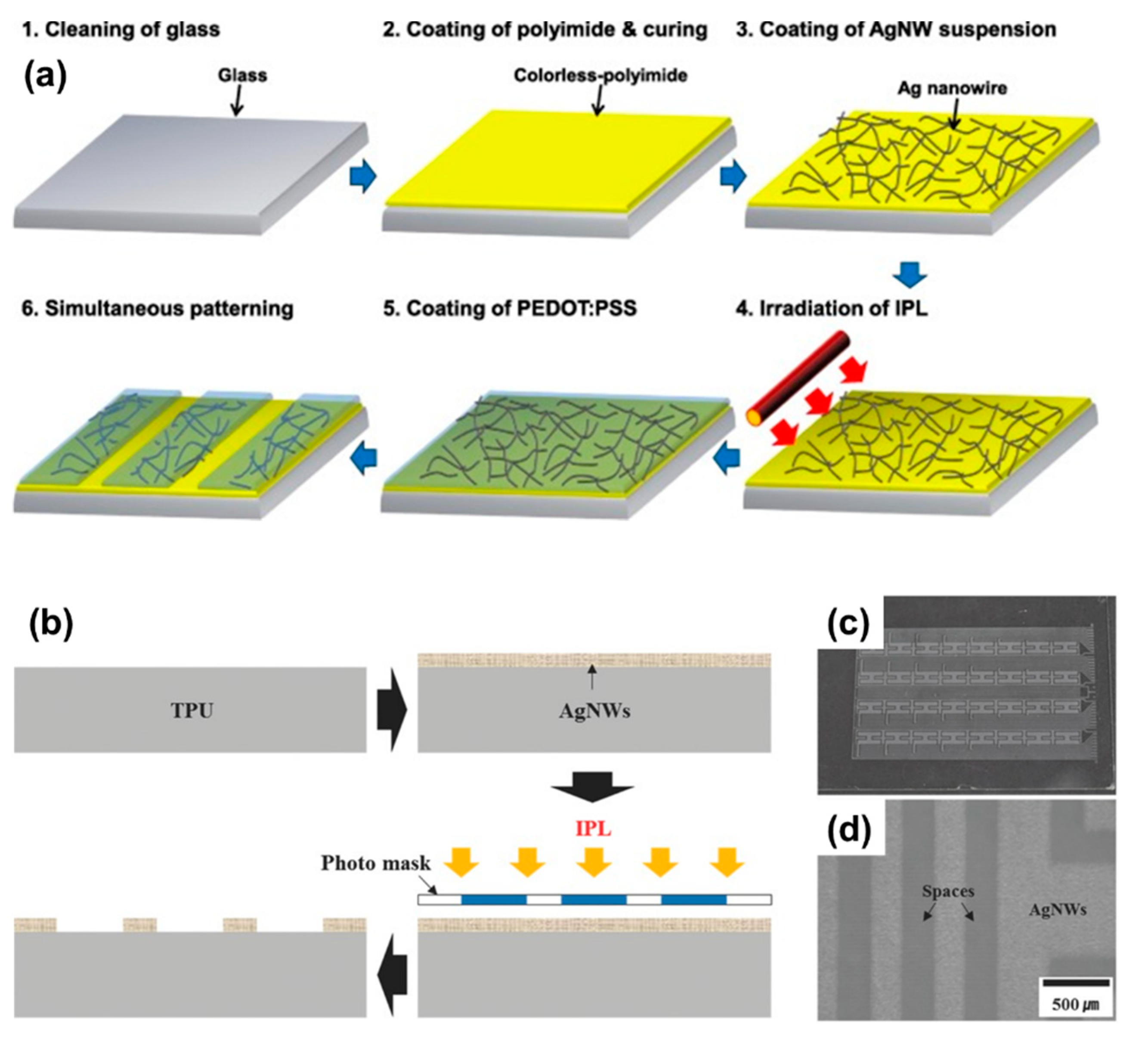 Coatings 13 00617 g006 Coatings 13 00617 g006