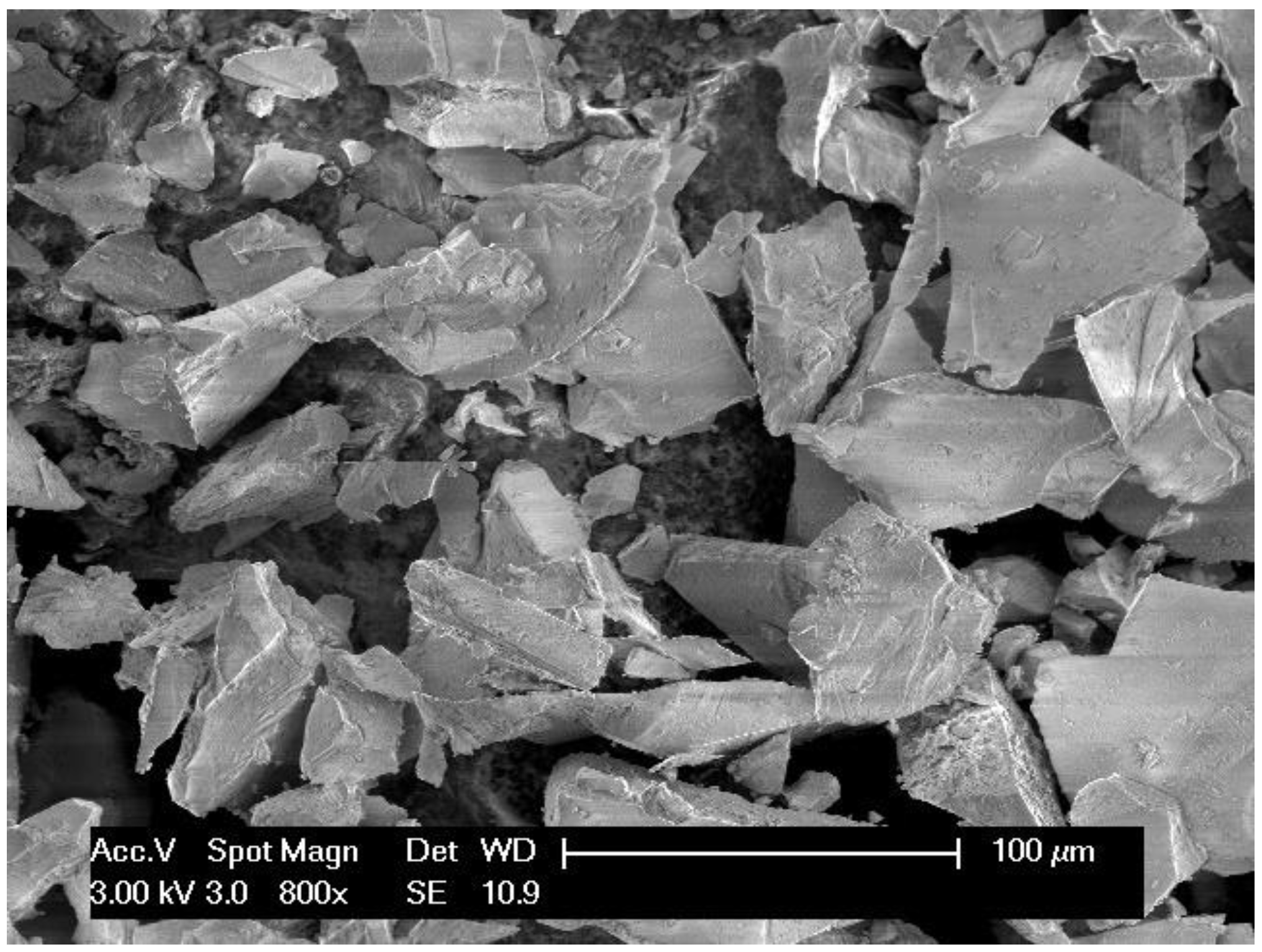 Coatings 13 00619 g001