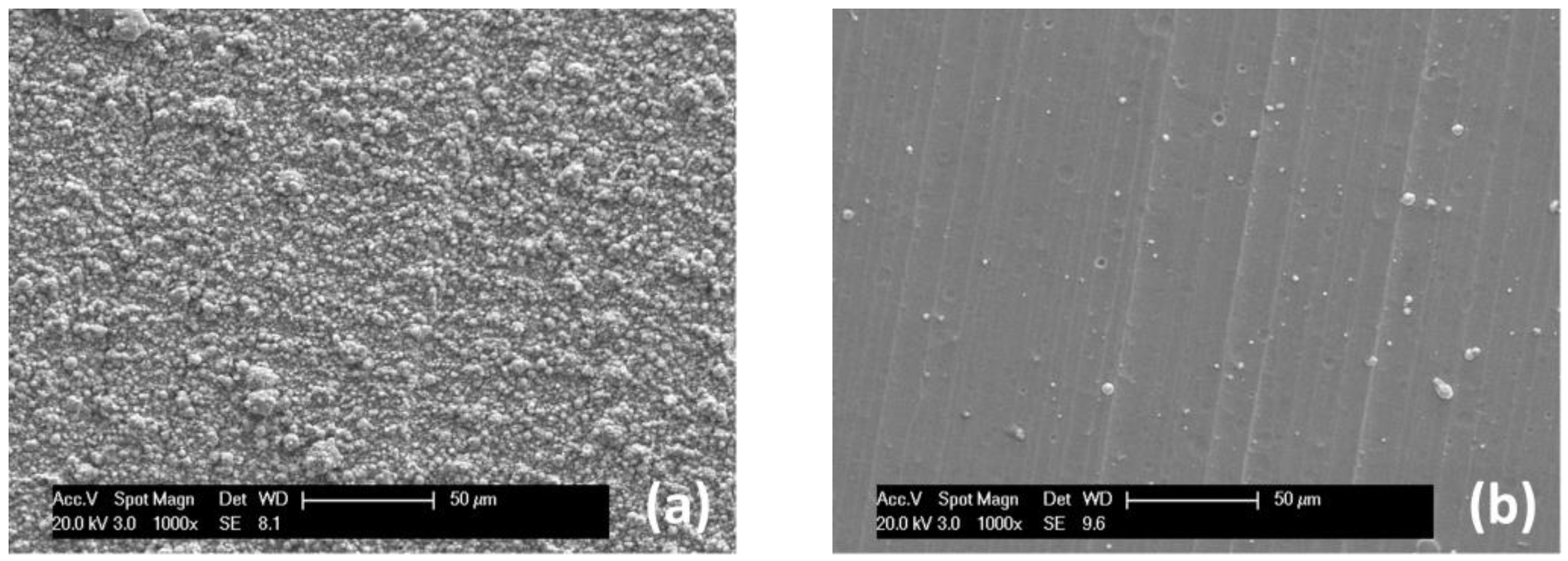 Coatings 13 00619 g002