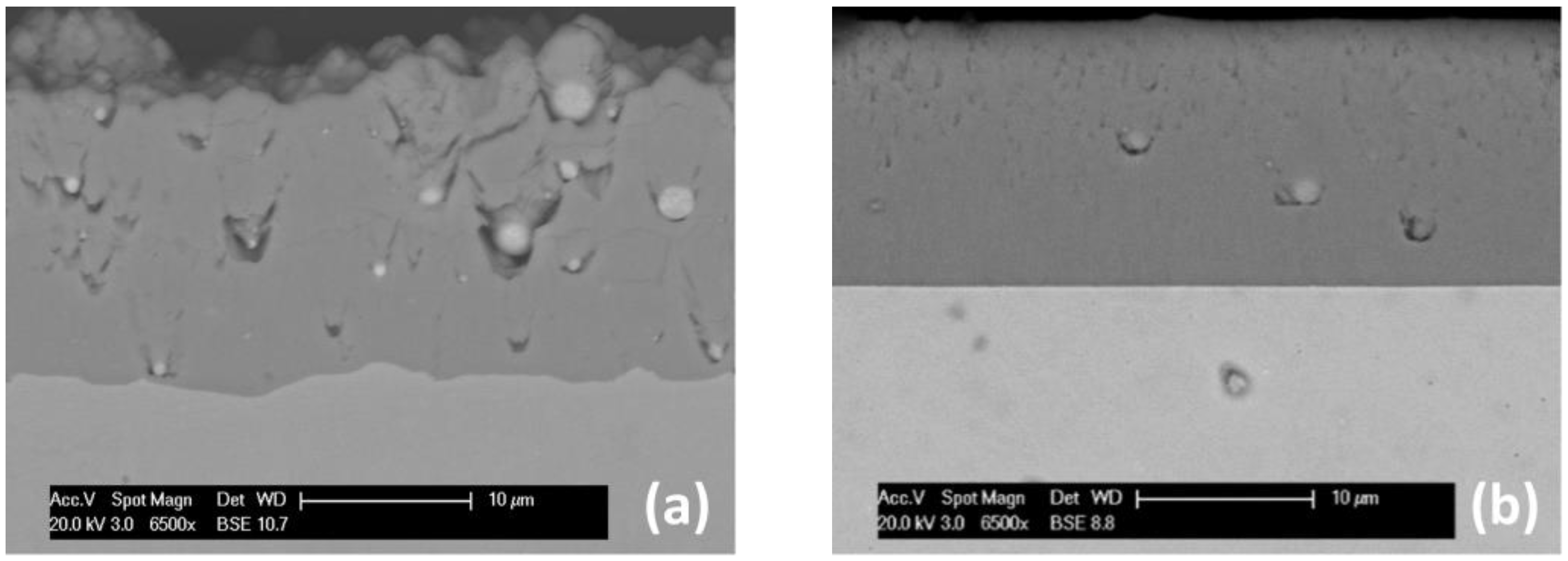 Coatings 13 00619 g003