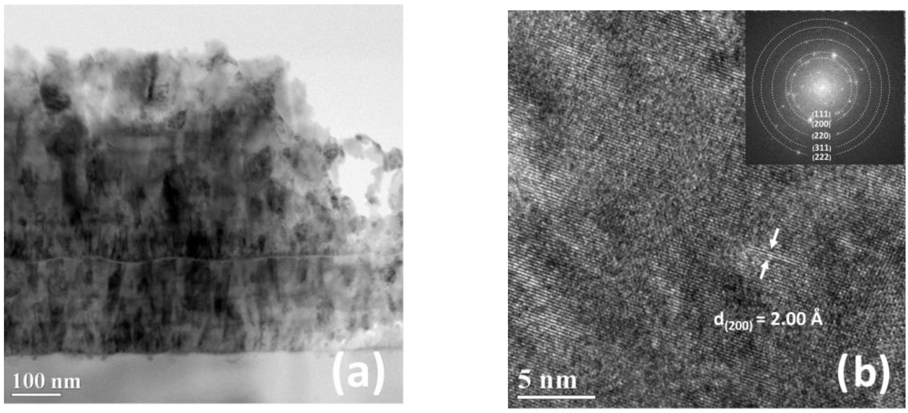 Coatings 13 00619 g006