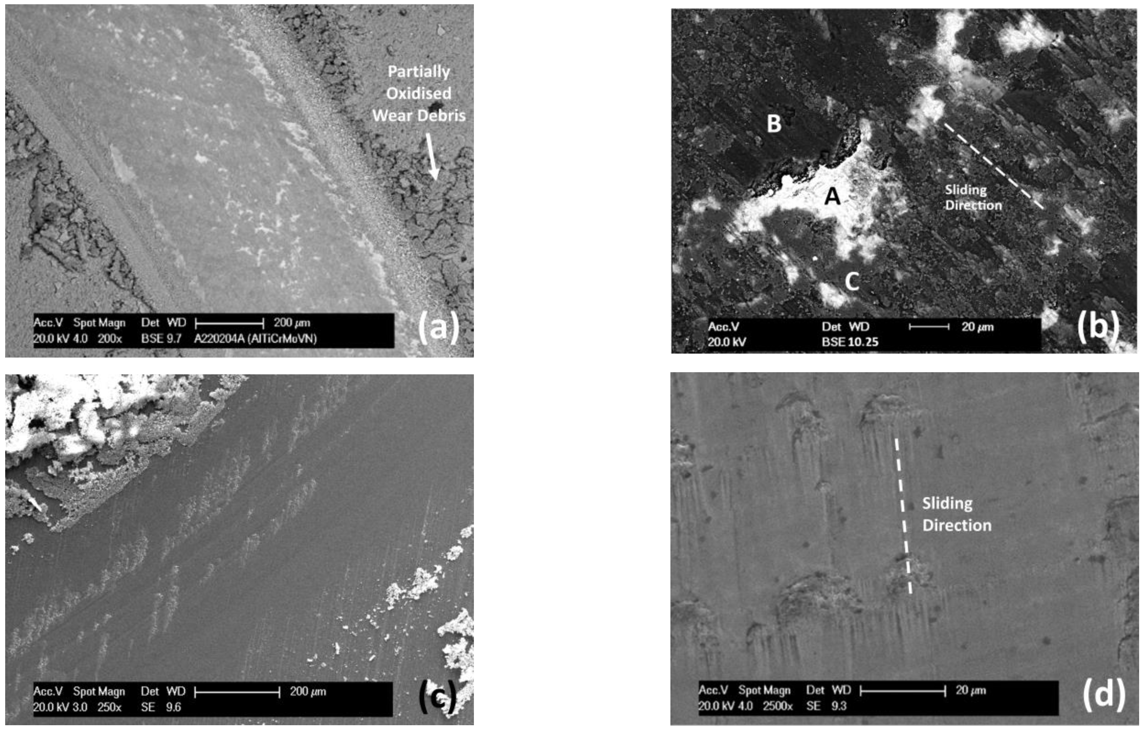 Coatings 13 00619 g010