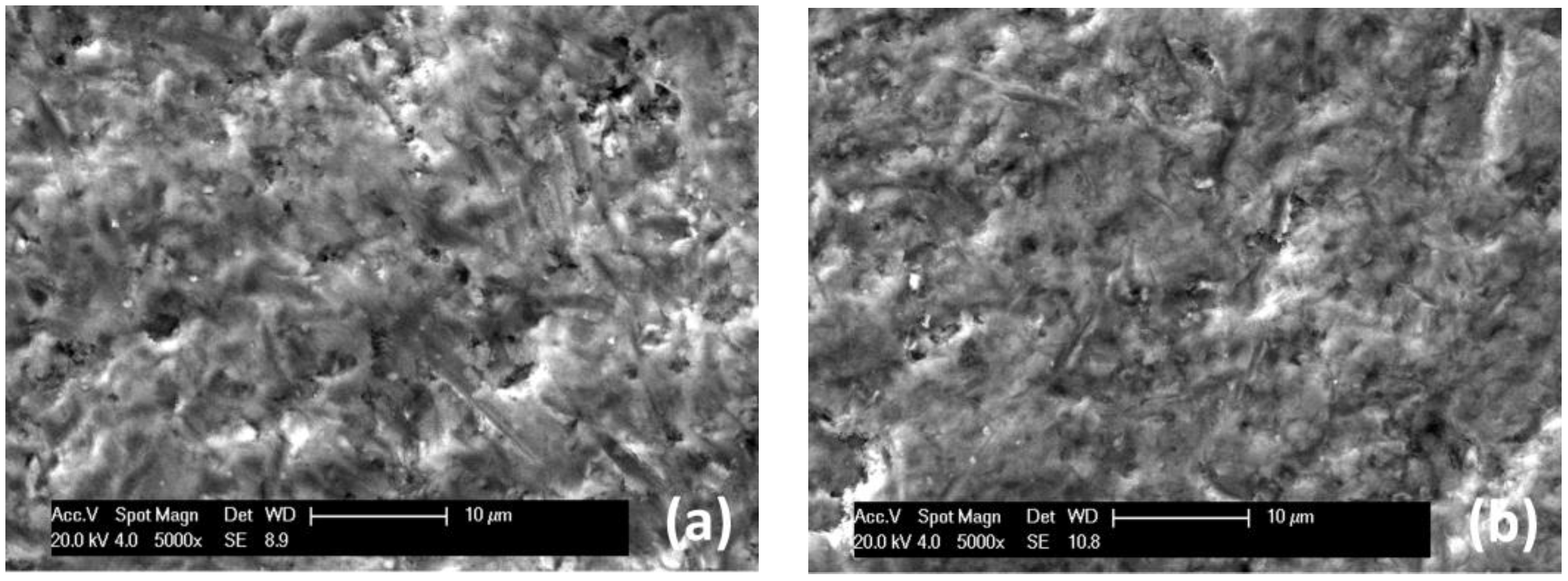Coatings 13 00619 g013