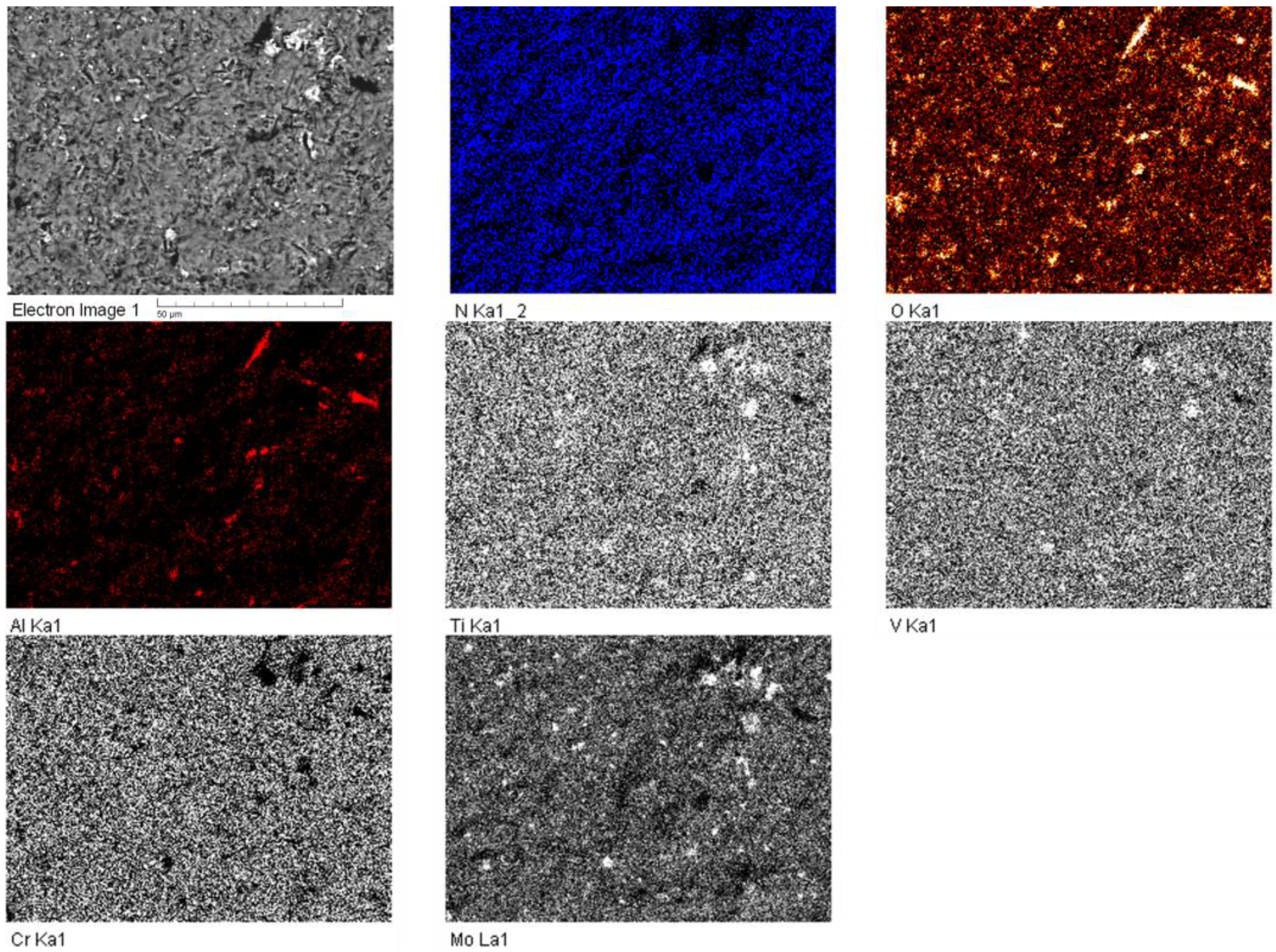 Coatings 13 00619 g015