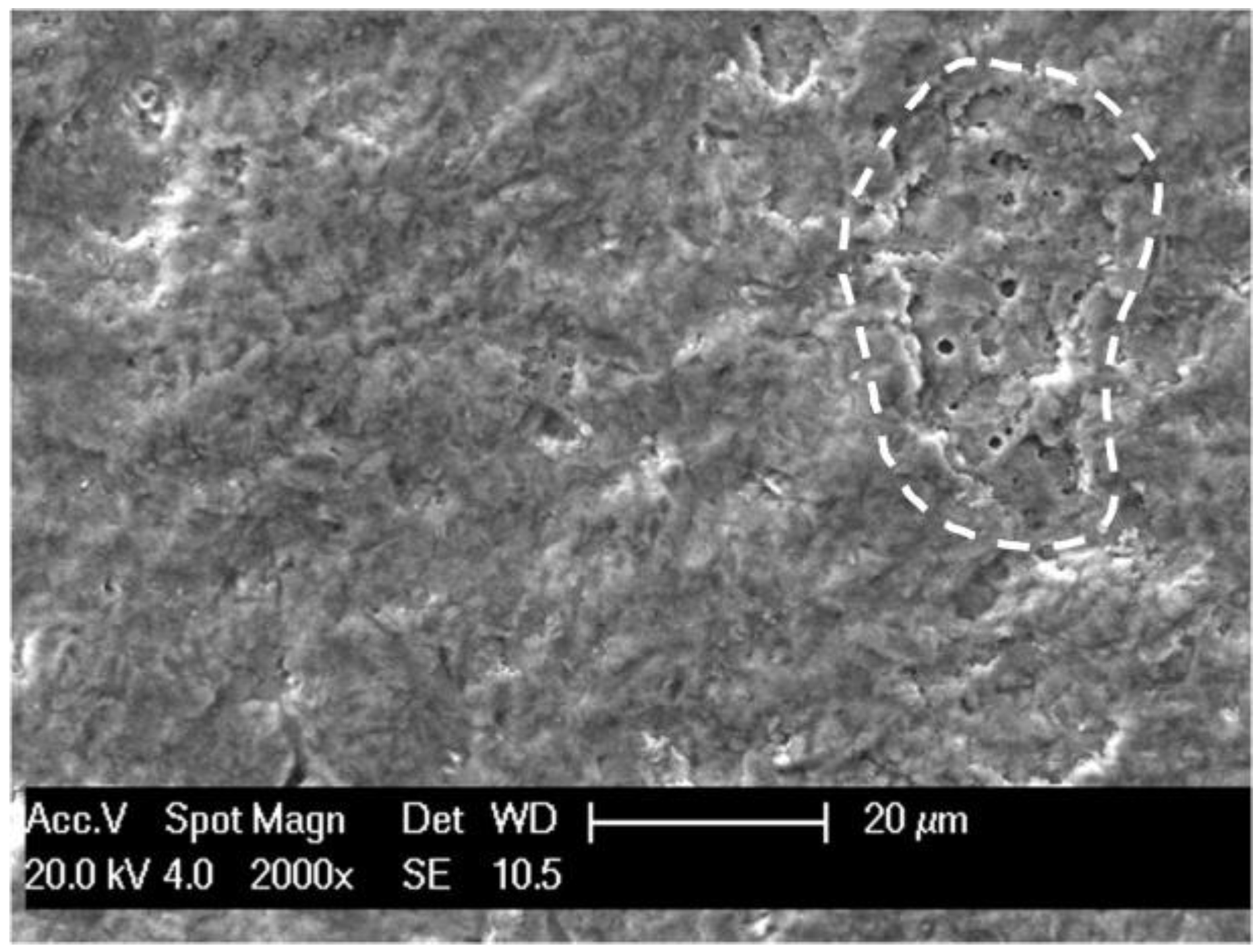Coatings 13 00619 g016