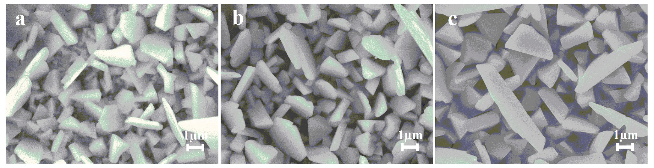 Coatings 13 00621 g004