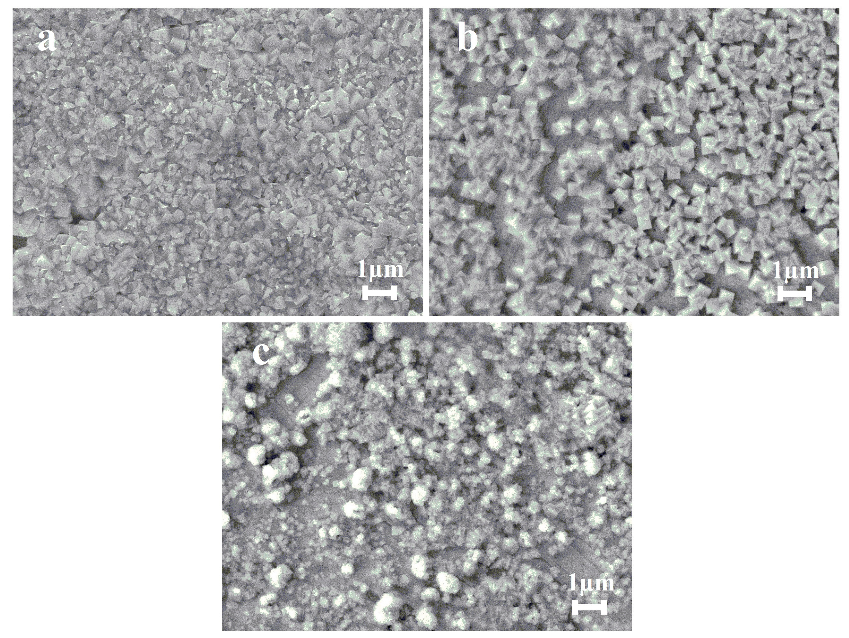 Coatings 13 00621 g006