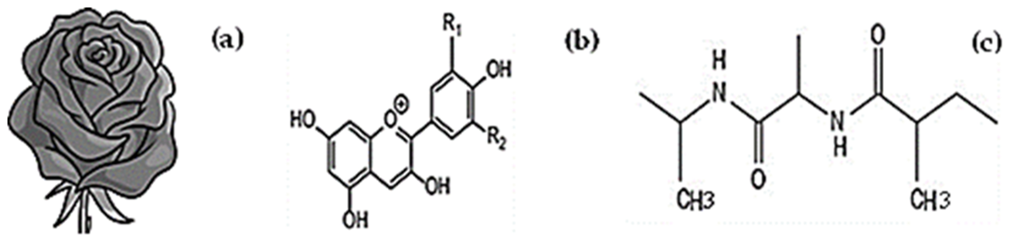 Coatings 13 00623 g001