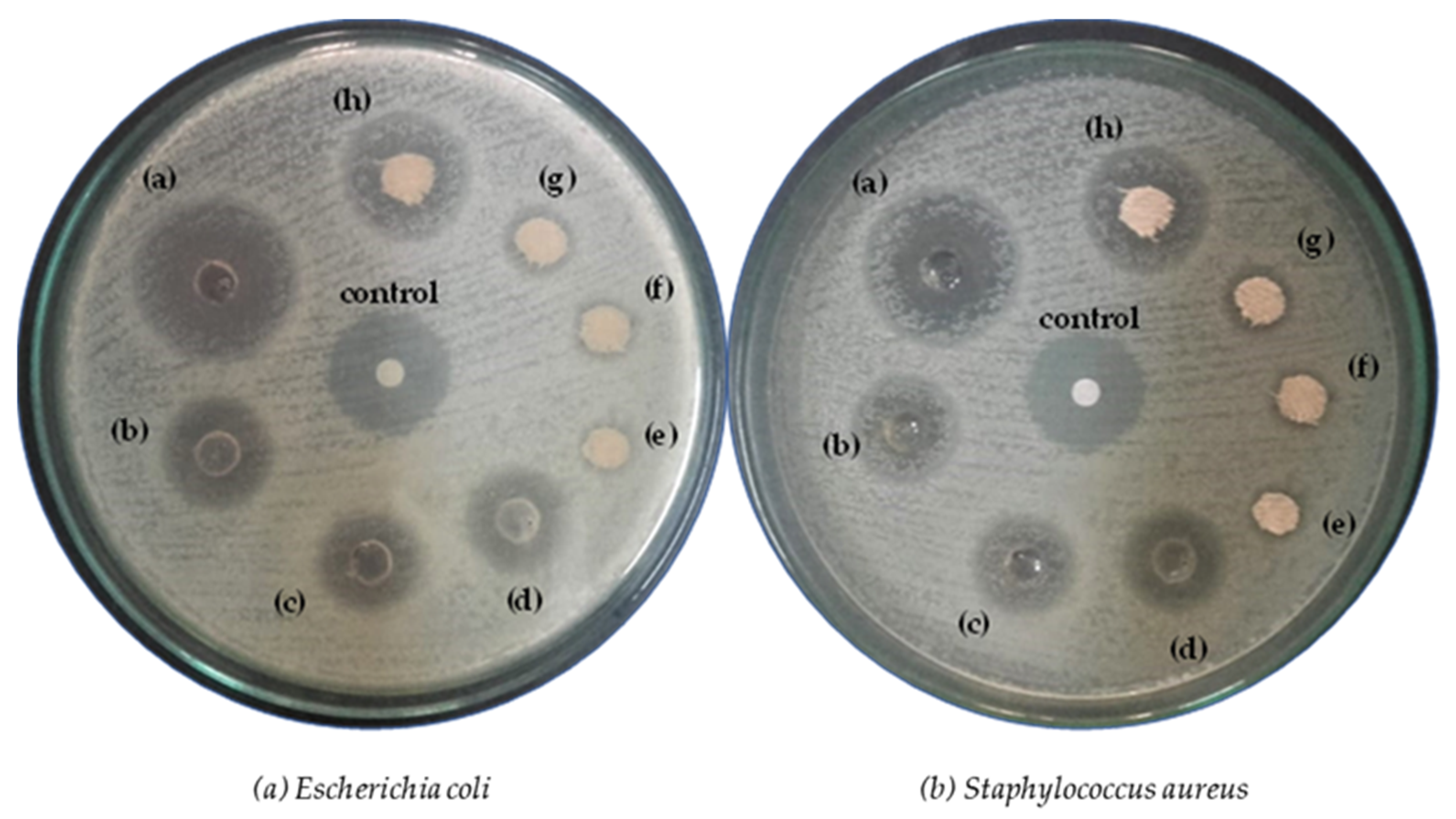 Coatings 13 00623 g003