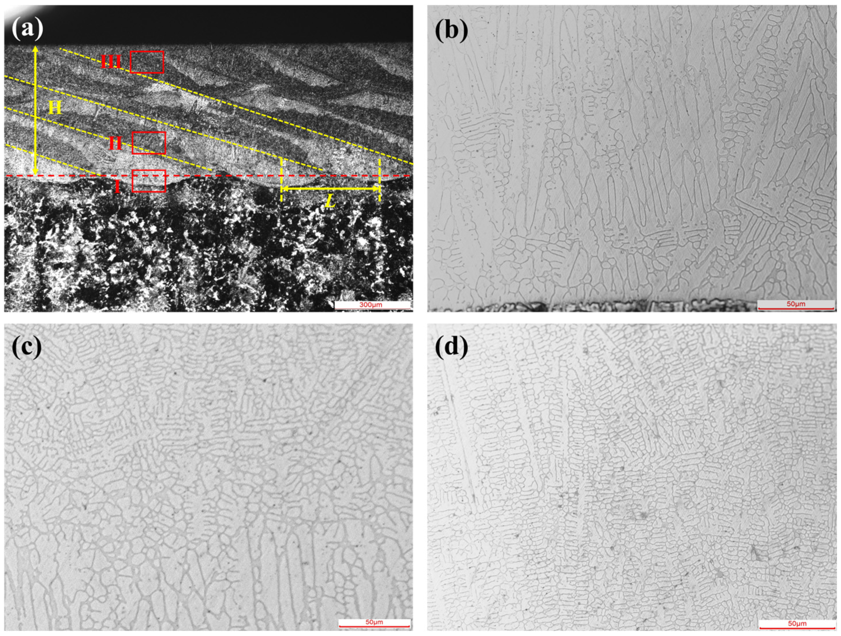 Coatings 13 00625 g010 Coatings 13 00625 g010