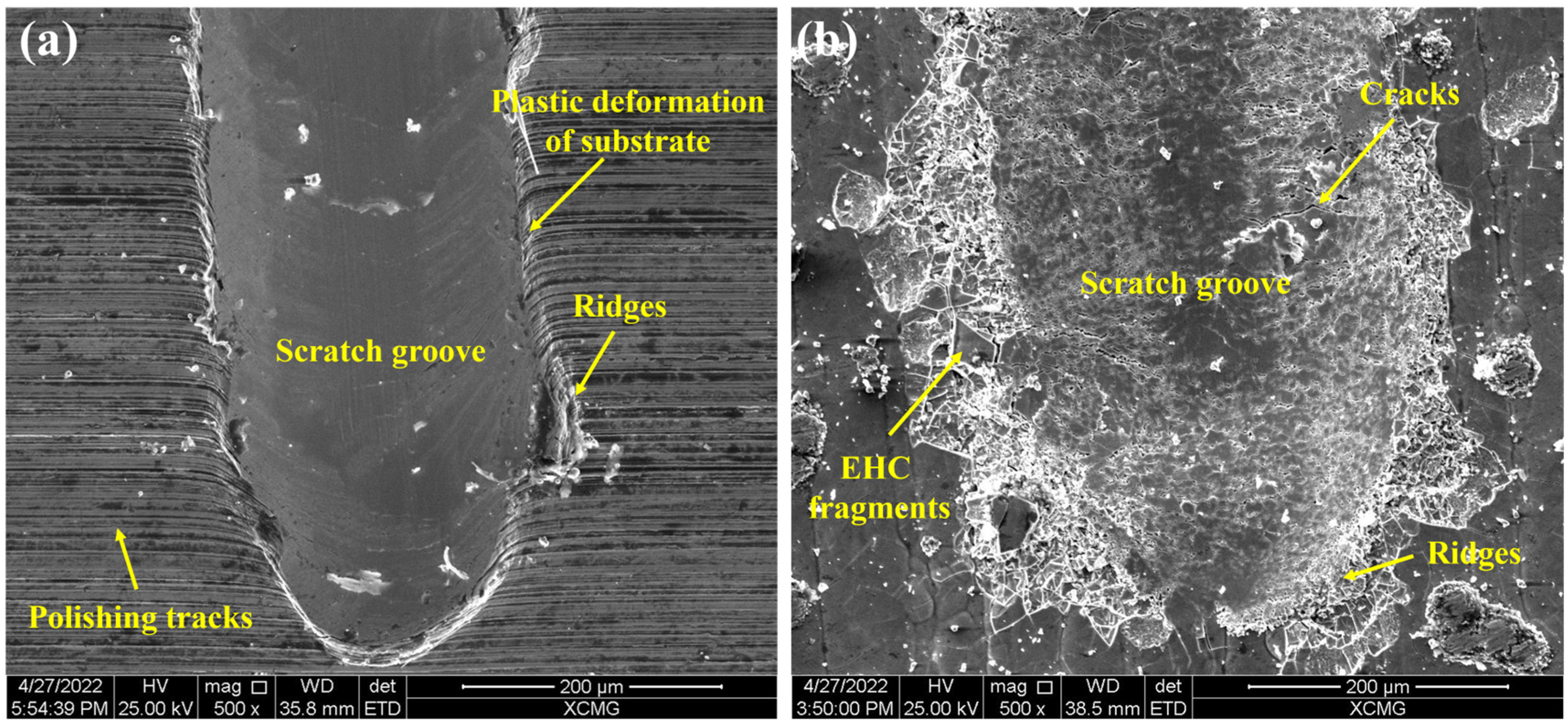 Coatings 13 00625 g013 Coatings 13 00625 g013