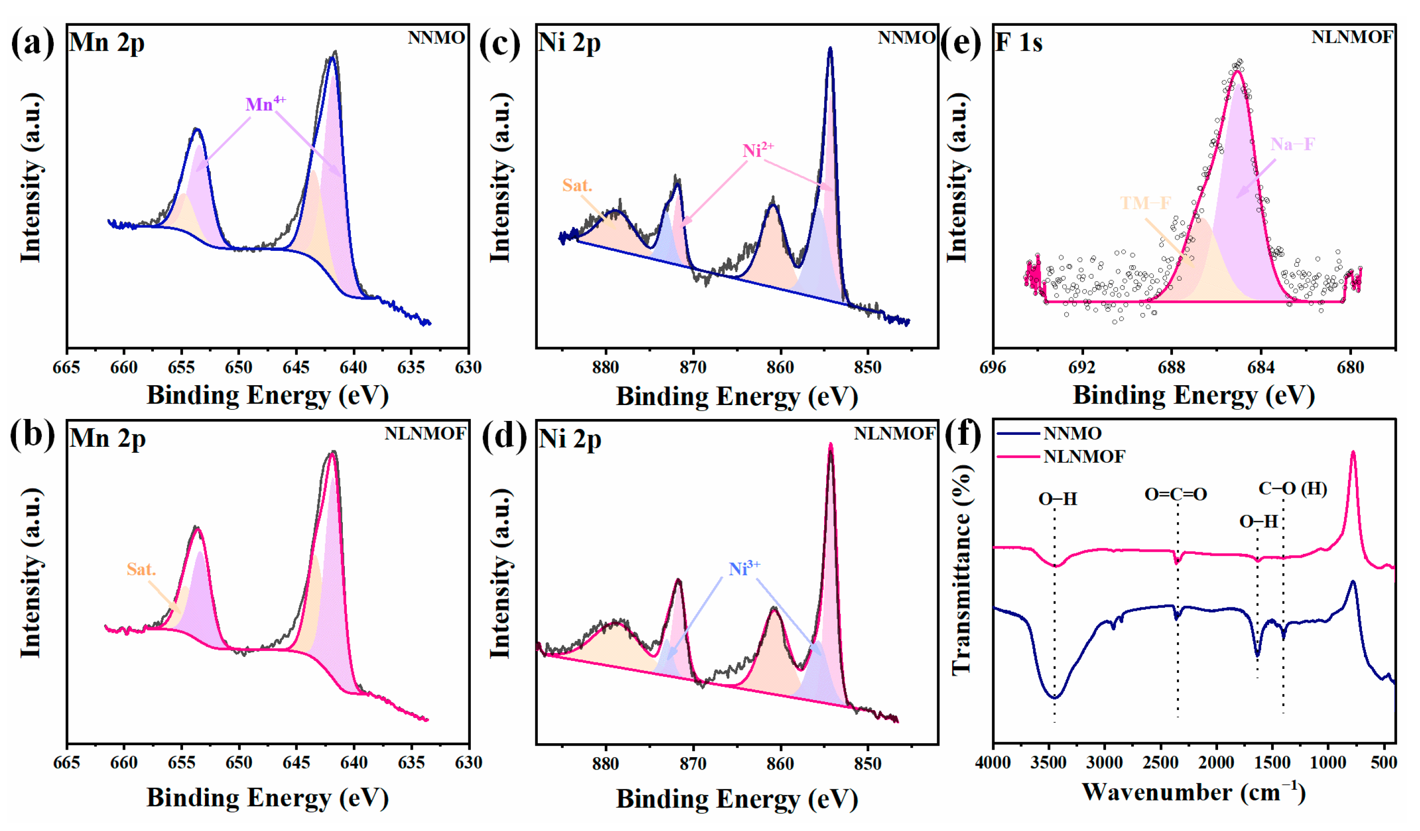 Coatings 13 00626 g002