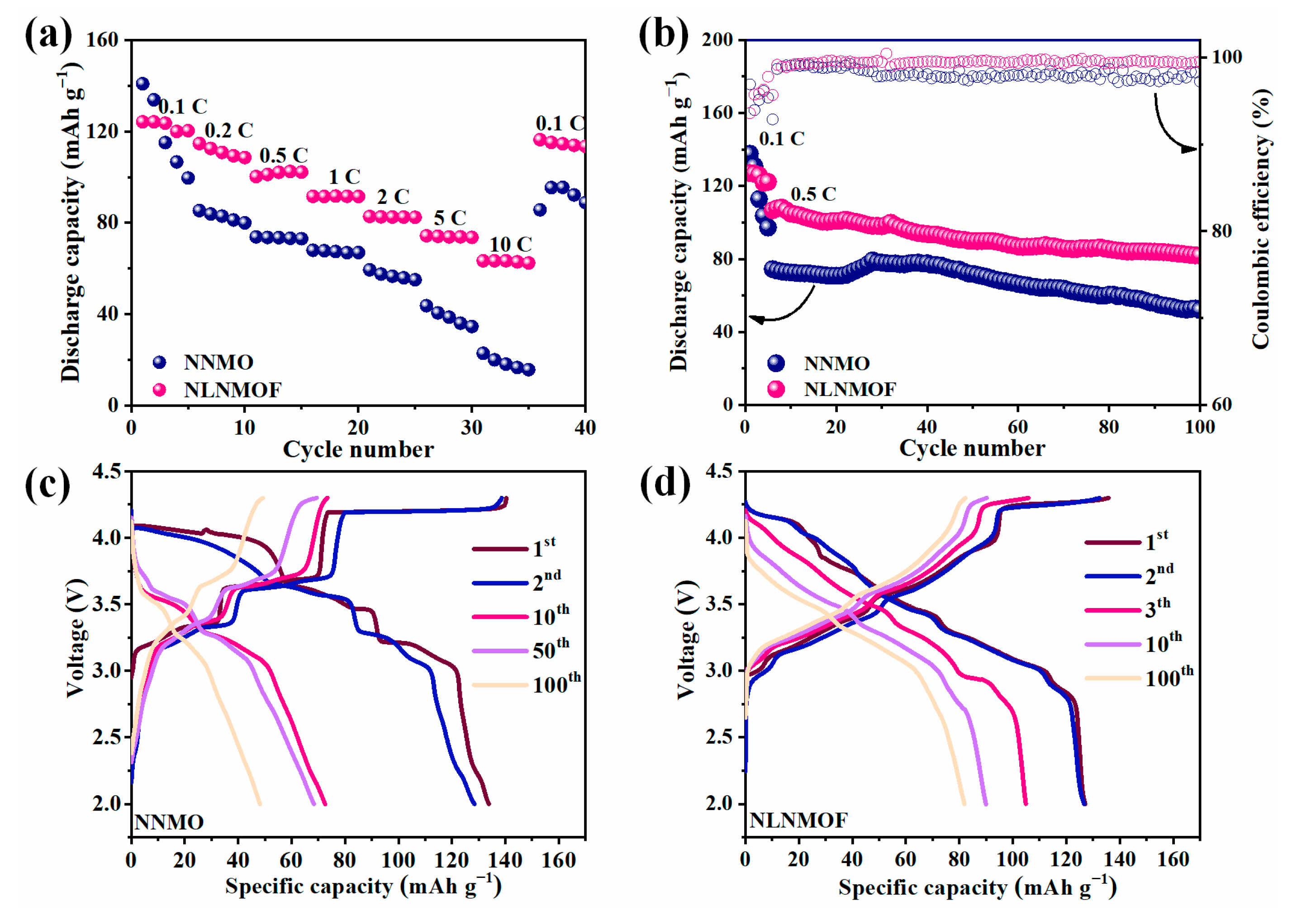 Coatings 13 00626 g003