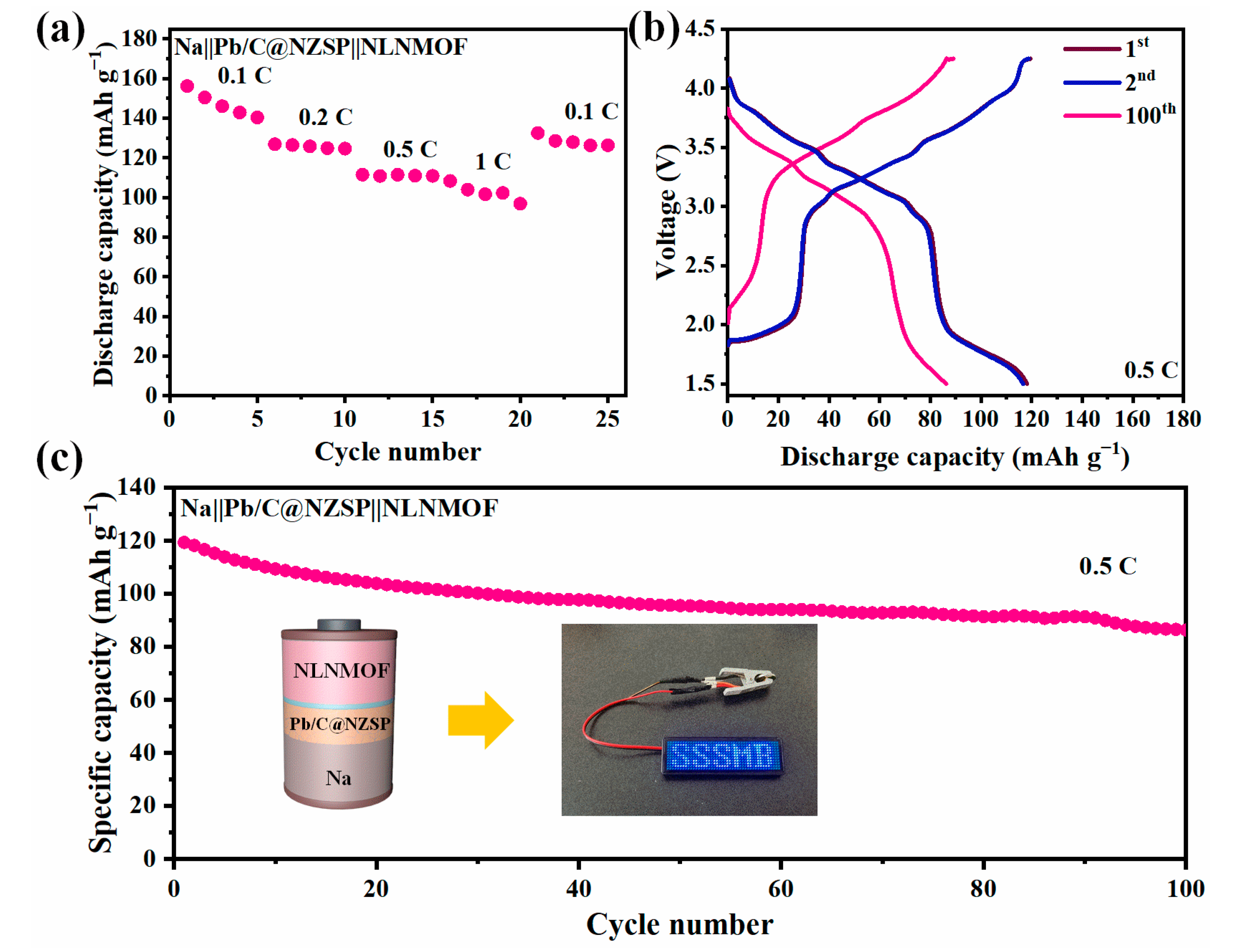 Coatings 13 00626 g007