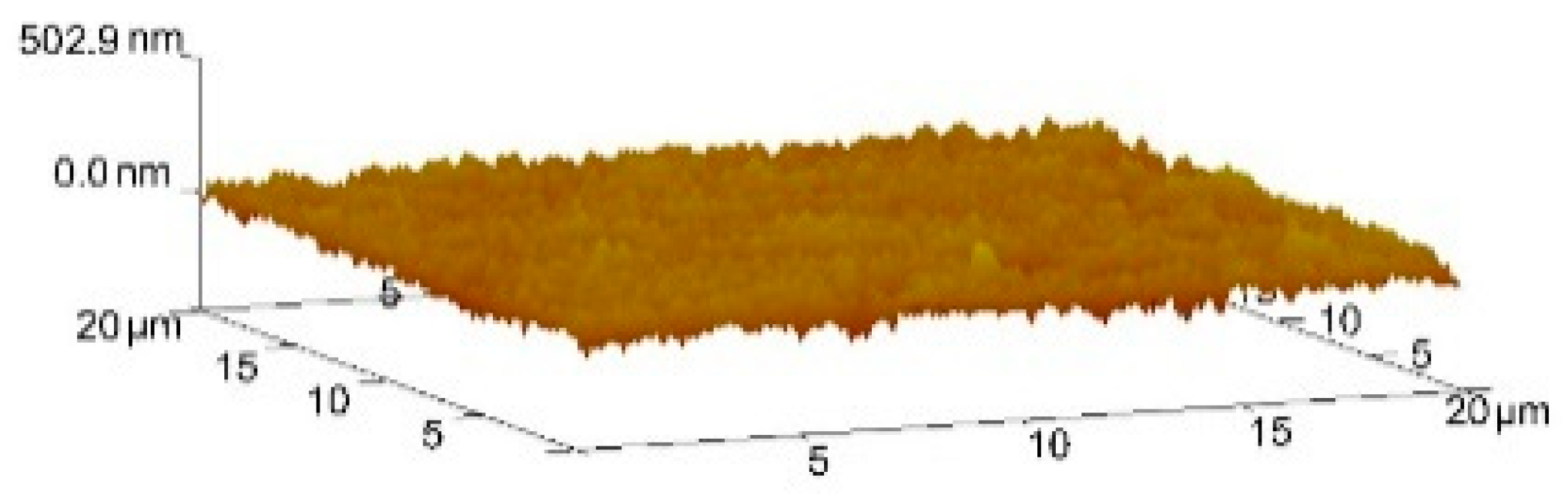 Coatings 13 00628 g004