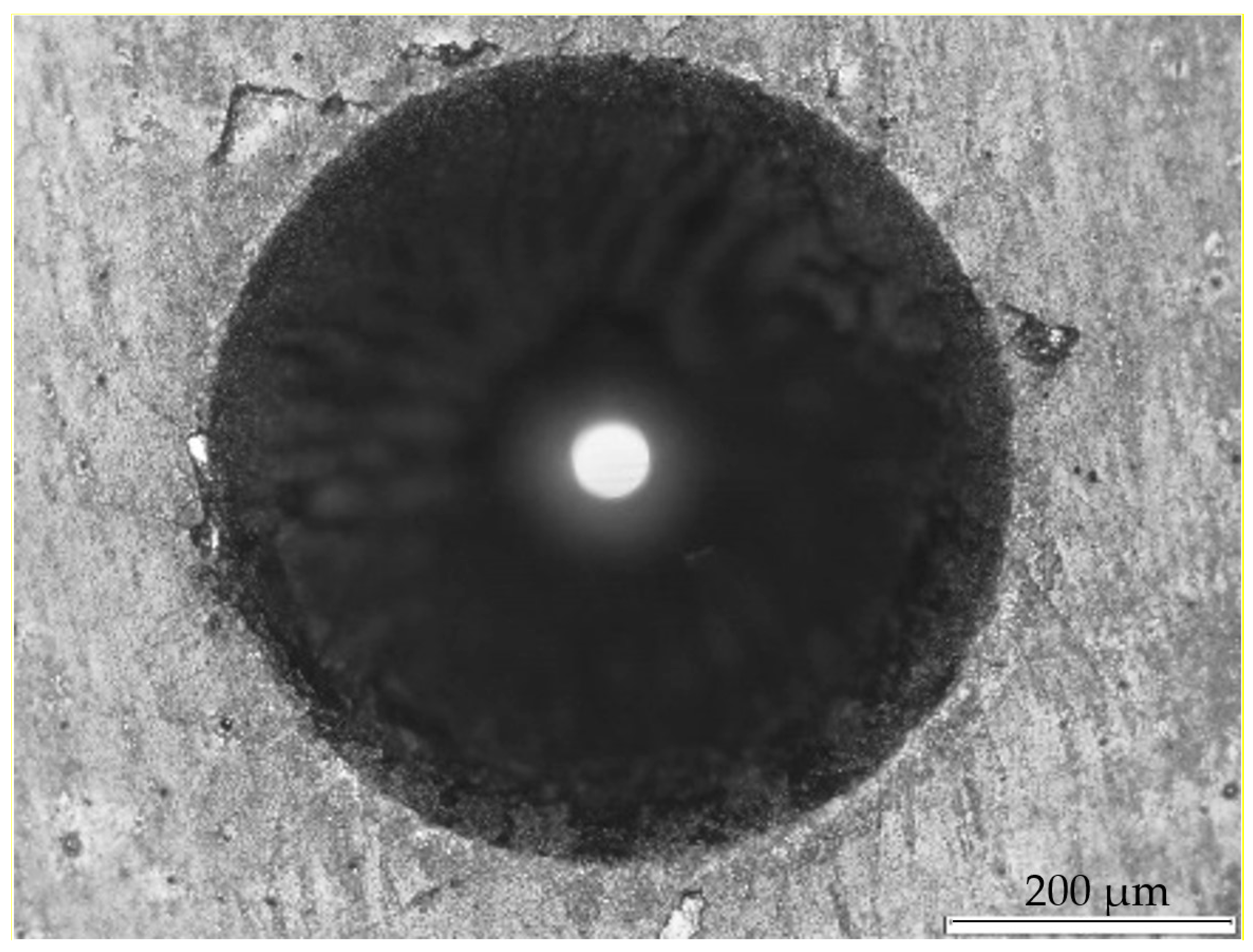 Coatings 13 00628 g006