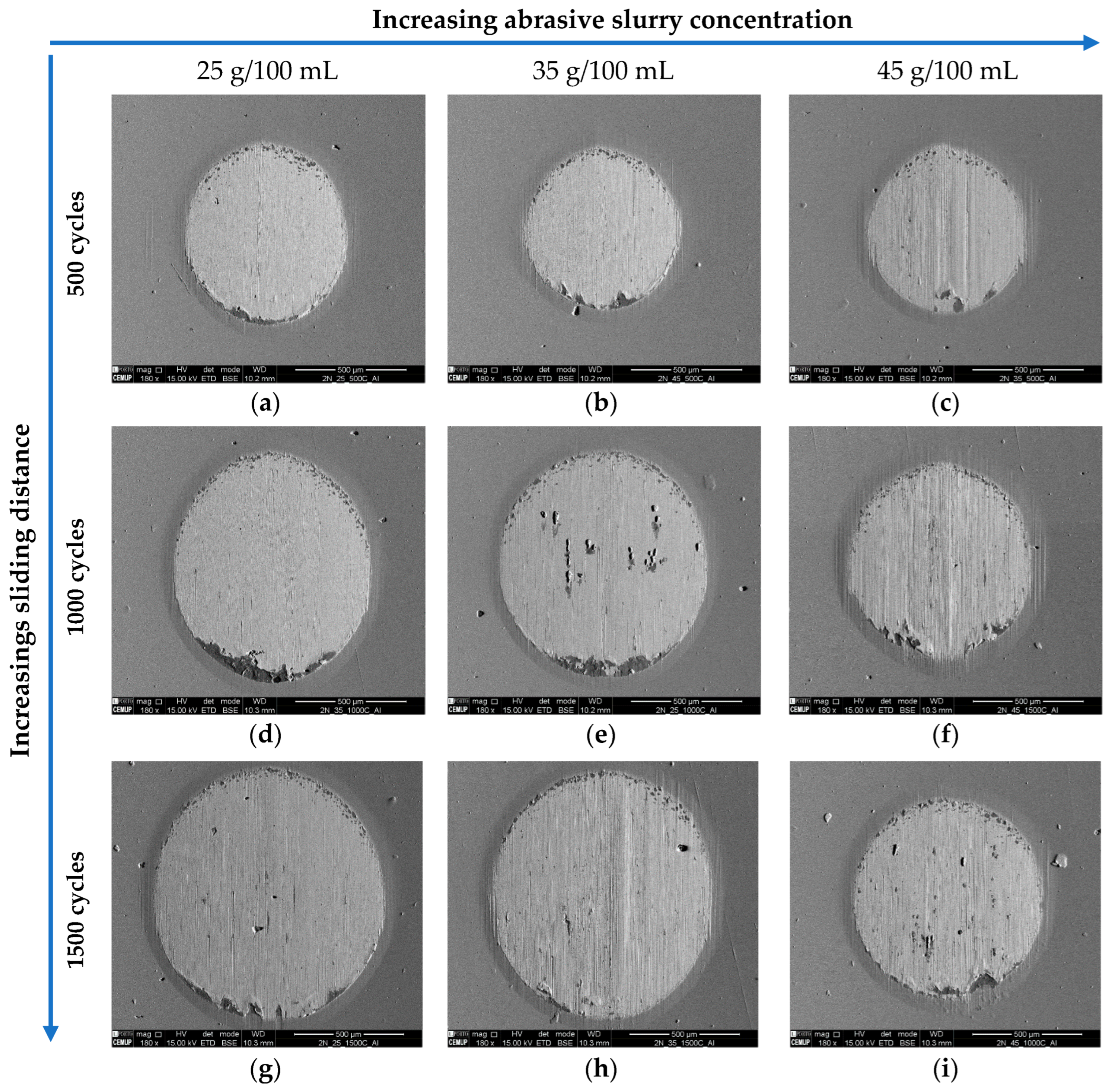 Coatings 13 00628 g010