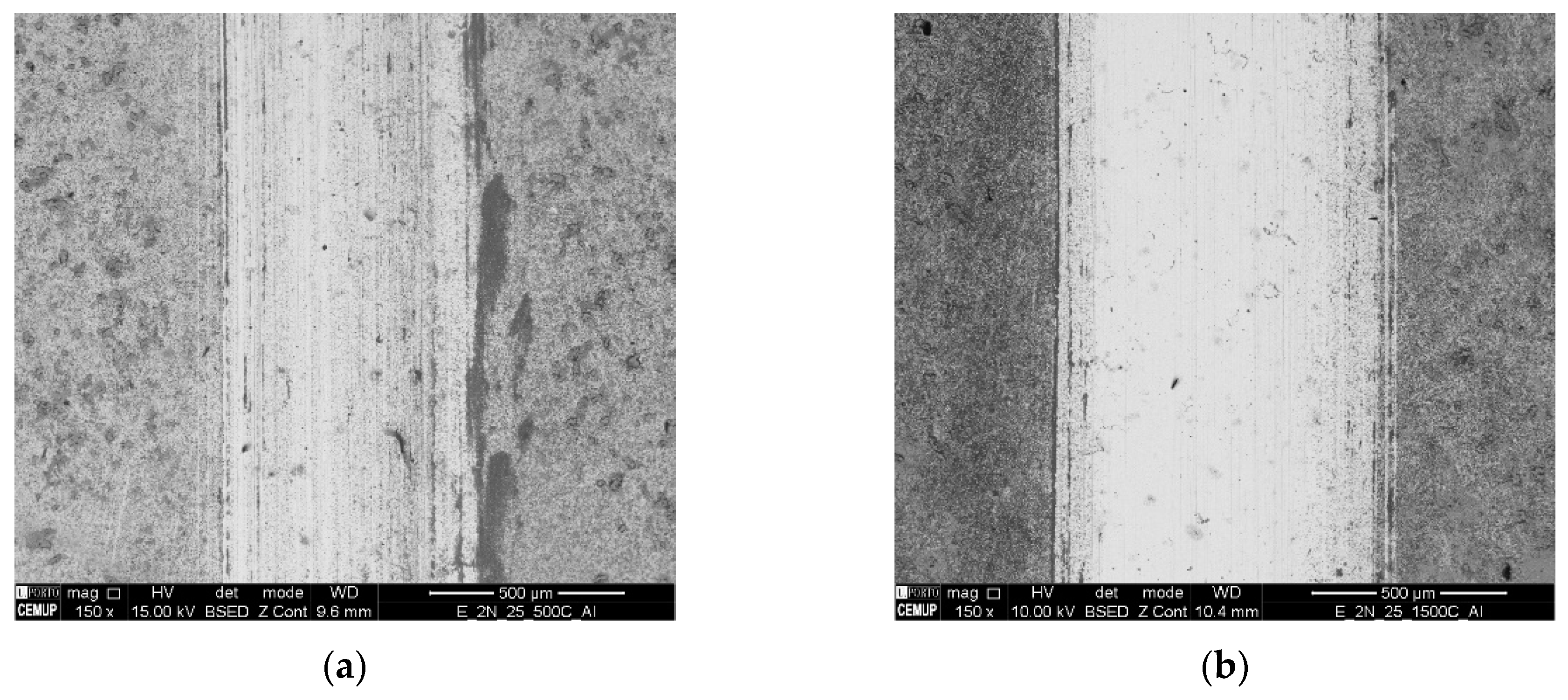 Coatings 13 00628 g012