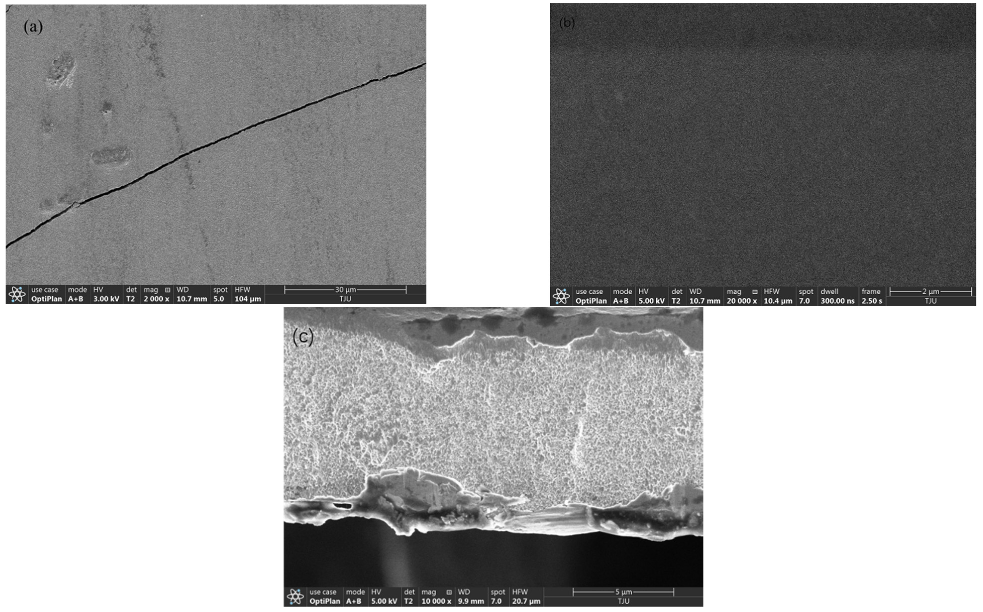Coatings 13 00629 g014