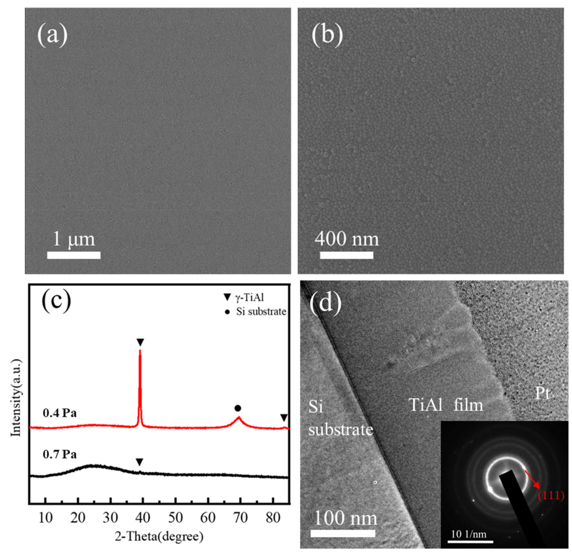 Coatings 13 00632 g001