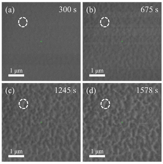 Coatings 13 00632 g003 Coatings 13 00632 g003