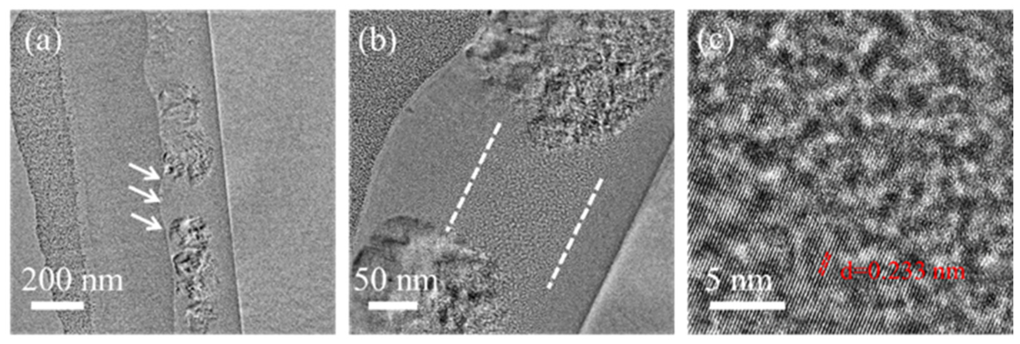 Coatings 13 00632 g005