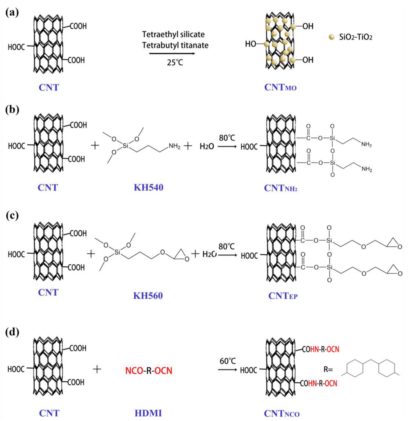 Coatings 13 00634 g004