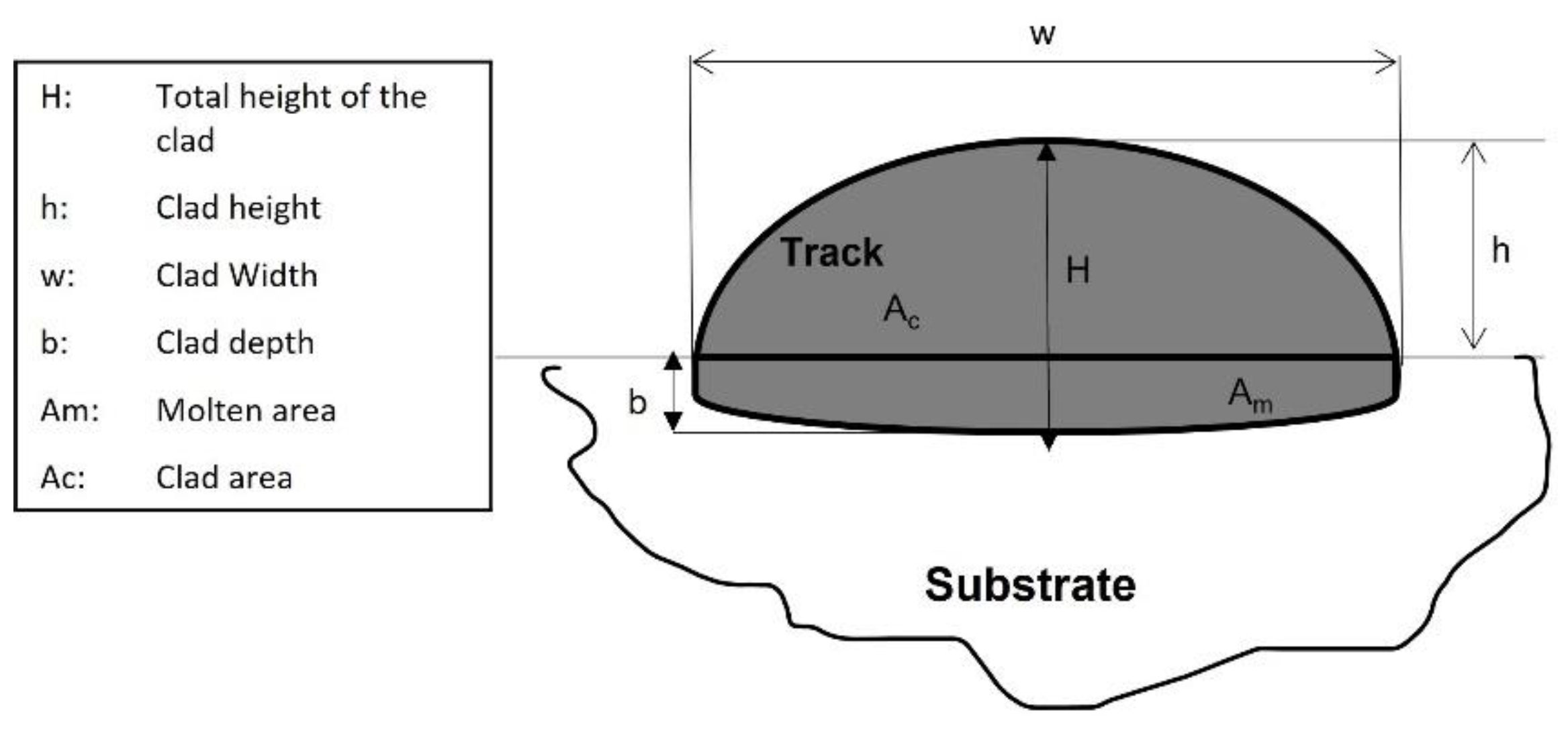 Coatings 13 00636 g002