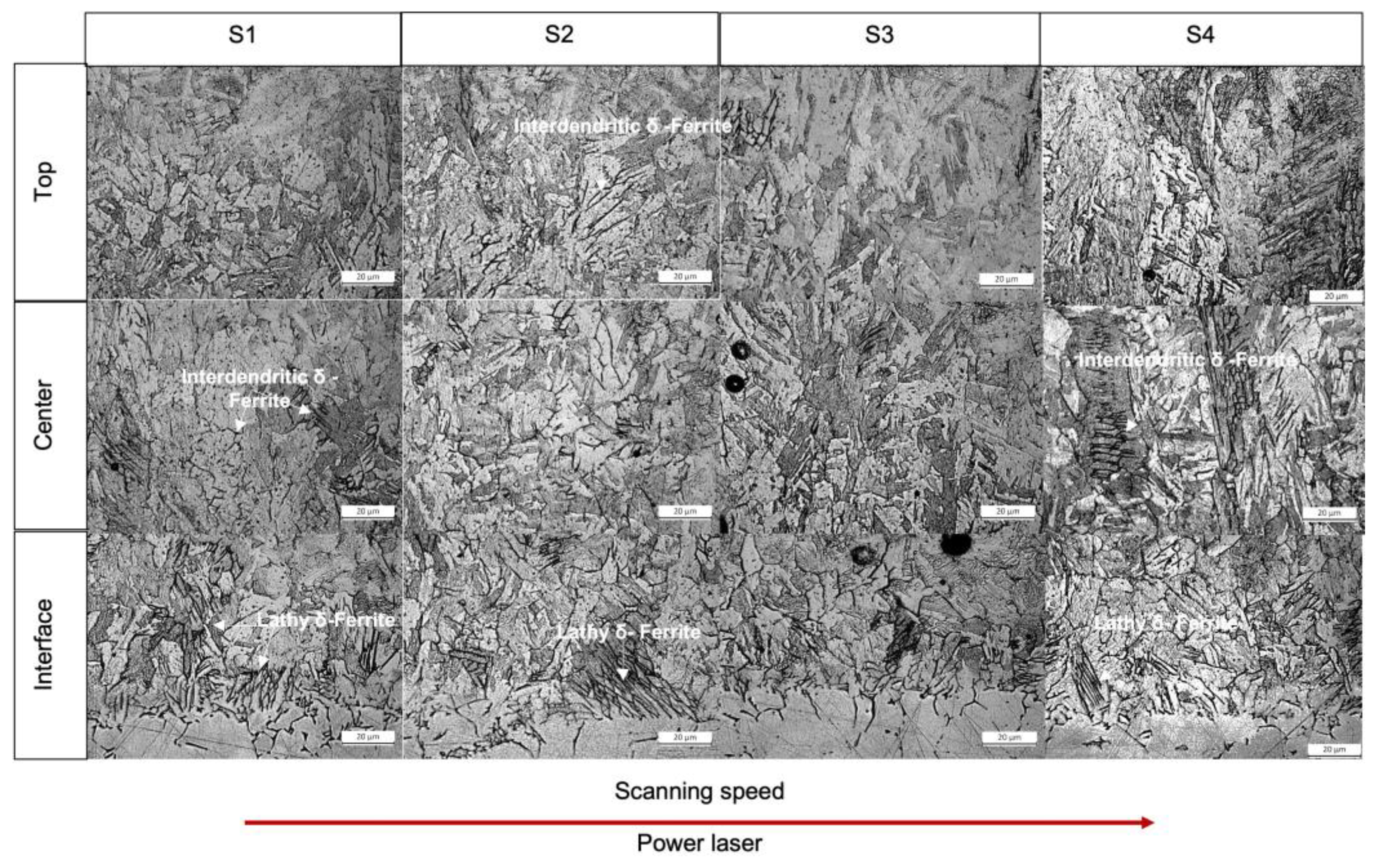 Coatings 13 00636 g009