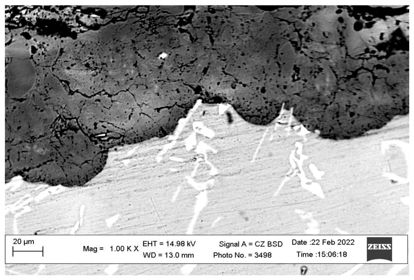 Coatings 13 00637 g005
