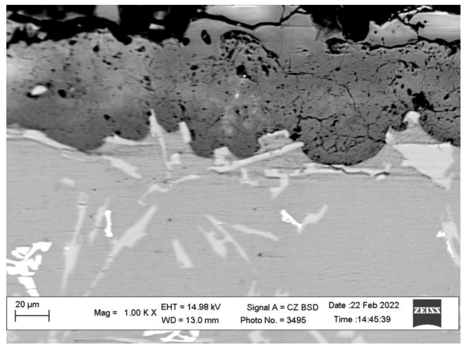 Coatings 13 00637 g010