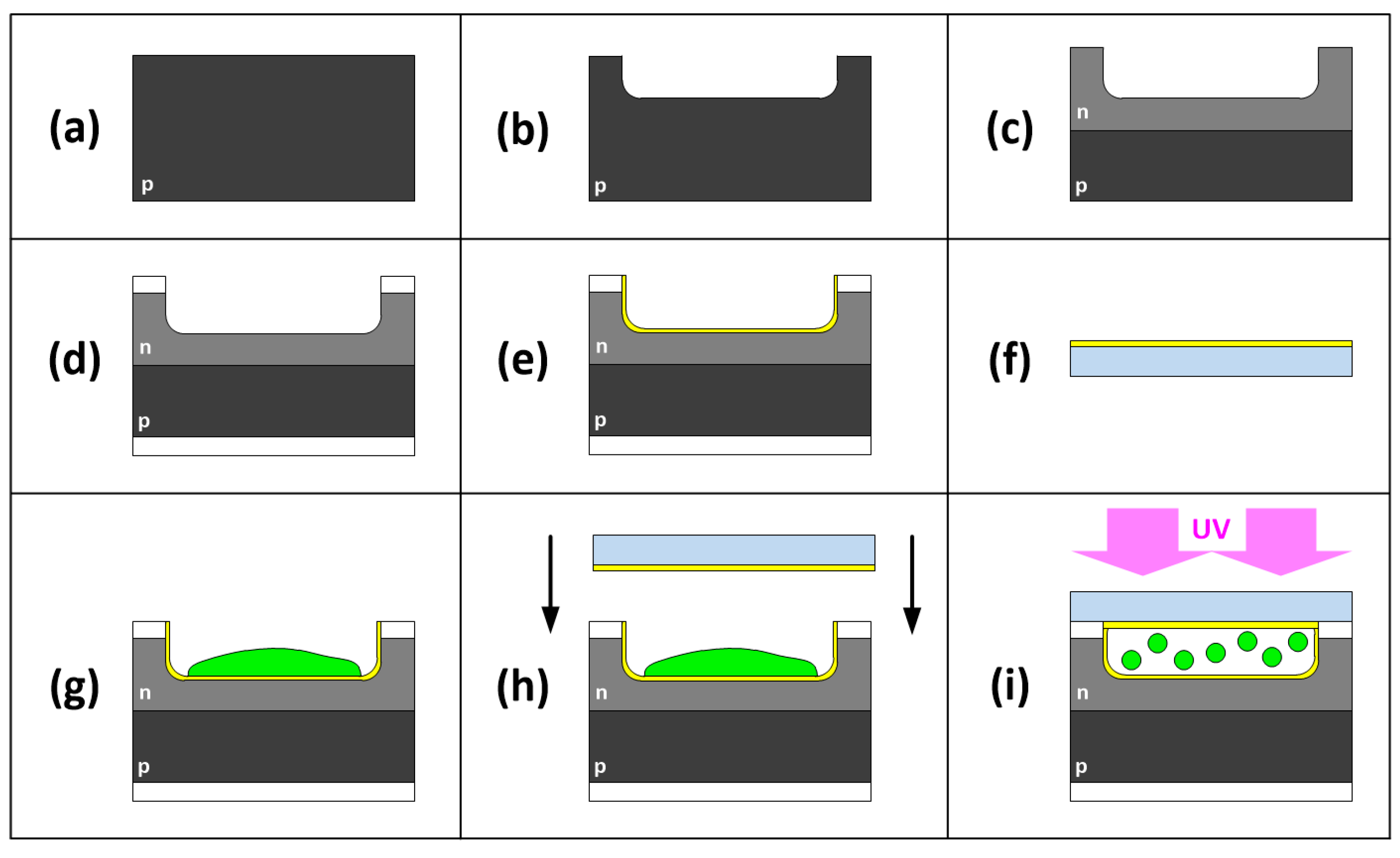 Coatings 13 00638 g002