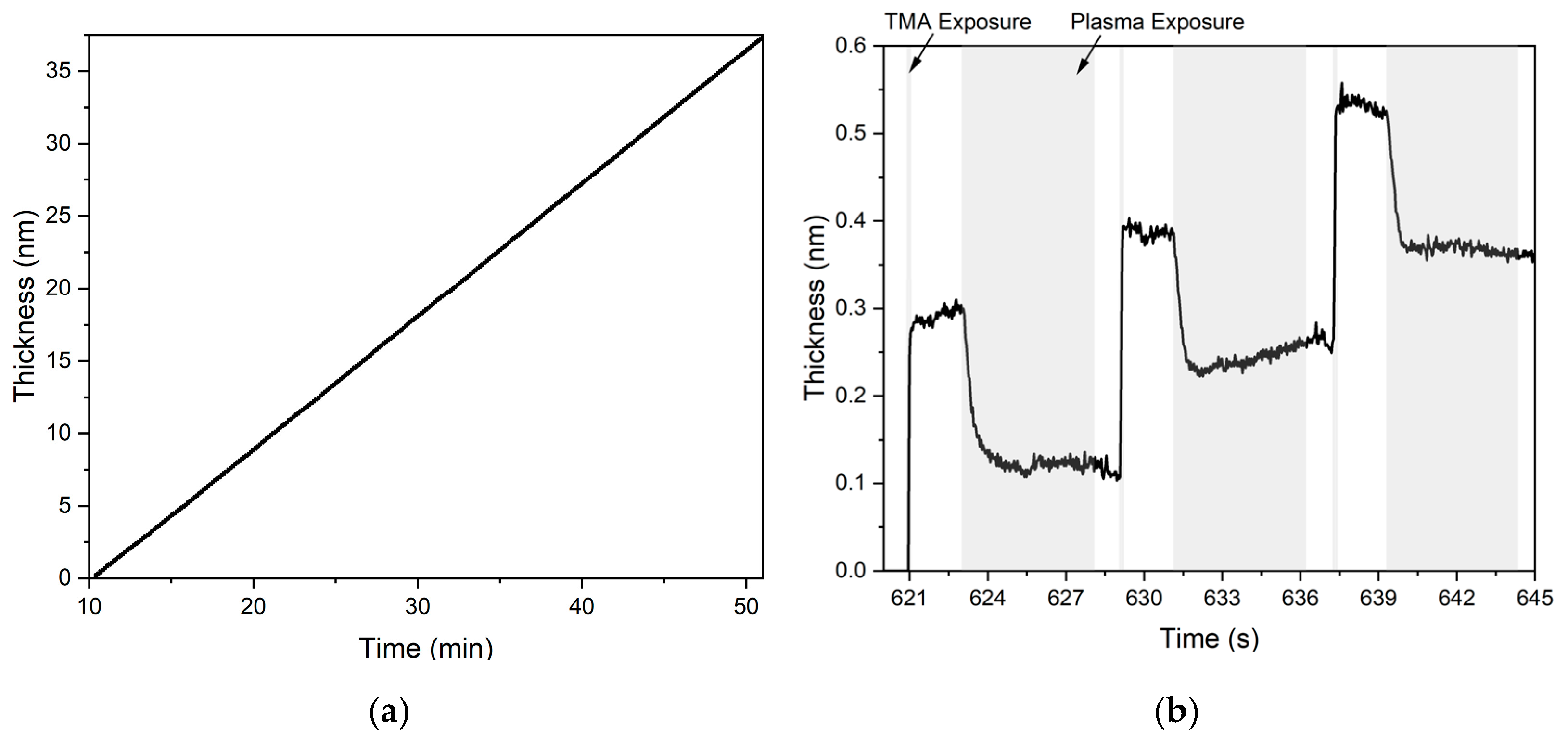 Coatings 13 00638 g003