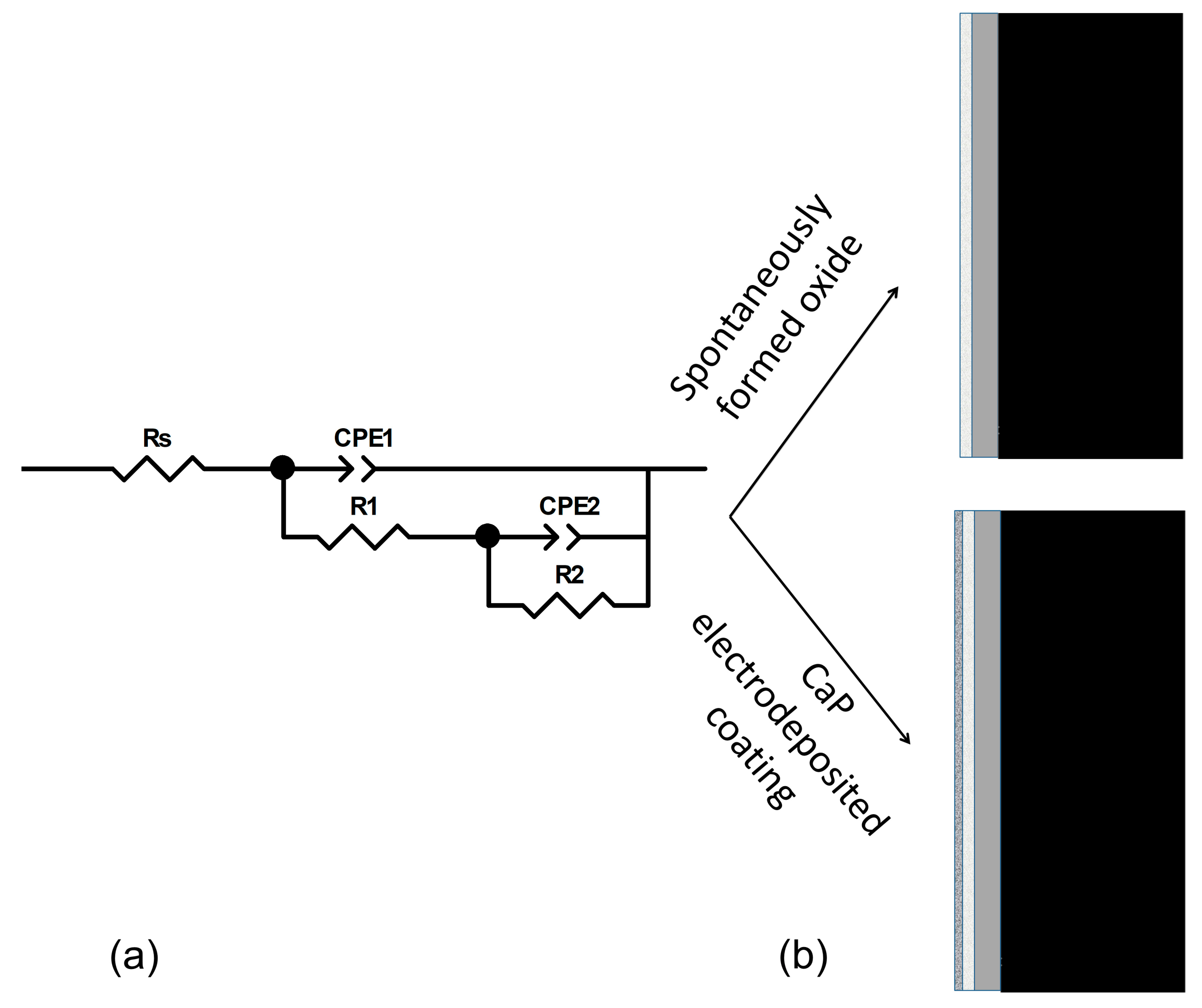 Coatings 13 00640 g006 Coatings 13 00640 g006