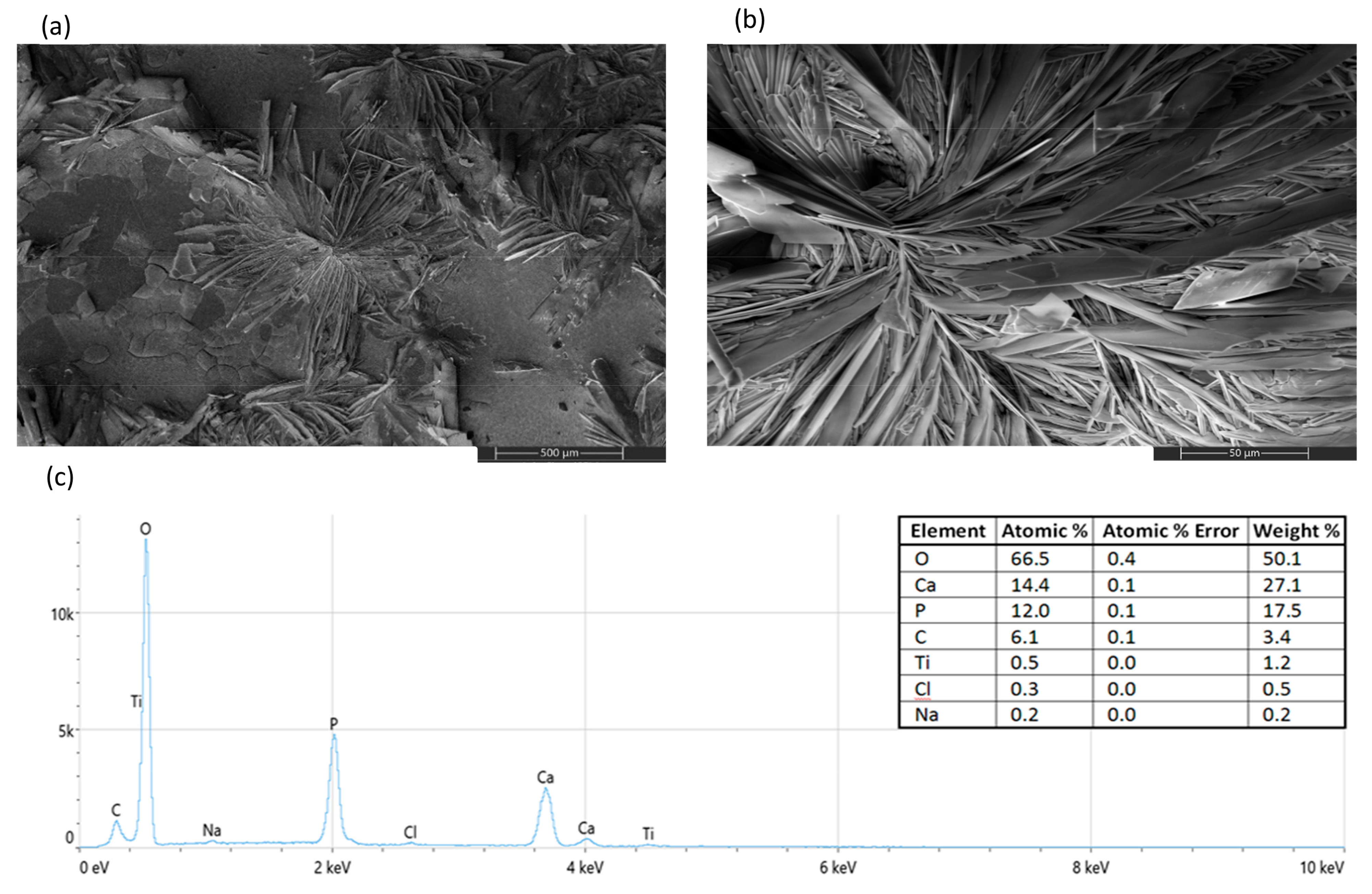 Coatings 13 00640 g007 Coatings 13 00640 g007