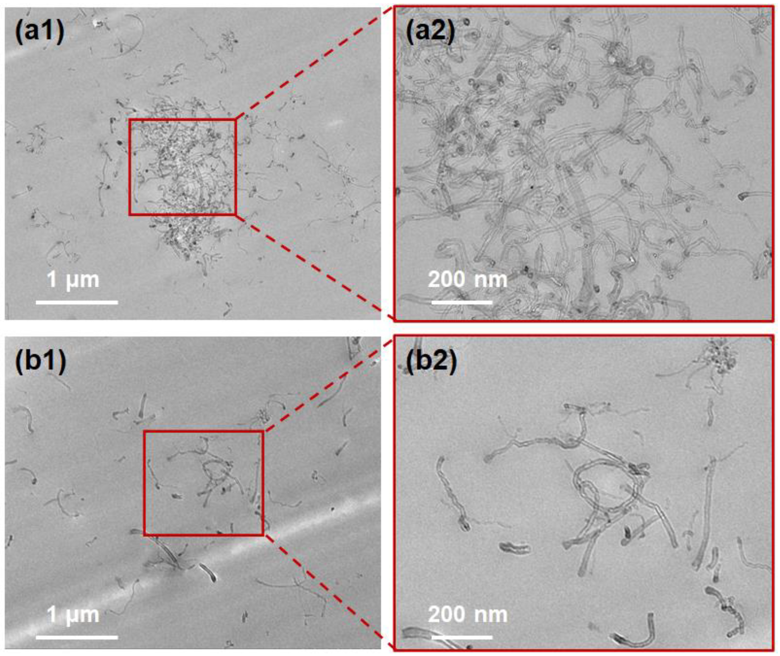 Coatings 13 00649 g003
