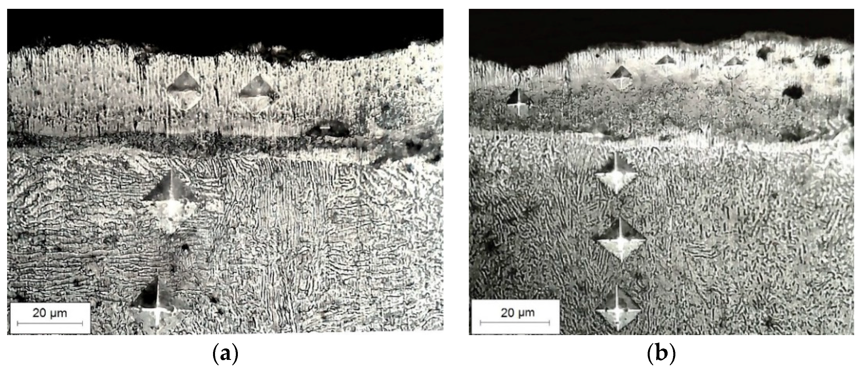 Coatings 13 00651 g005