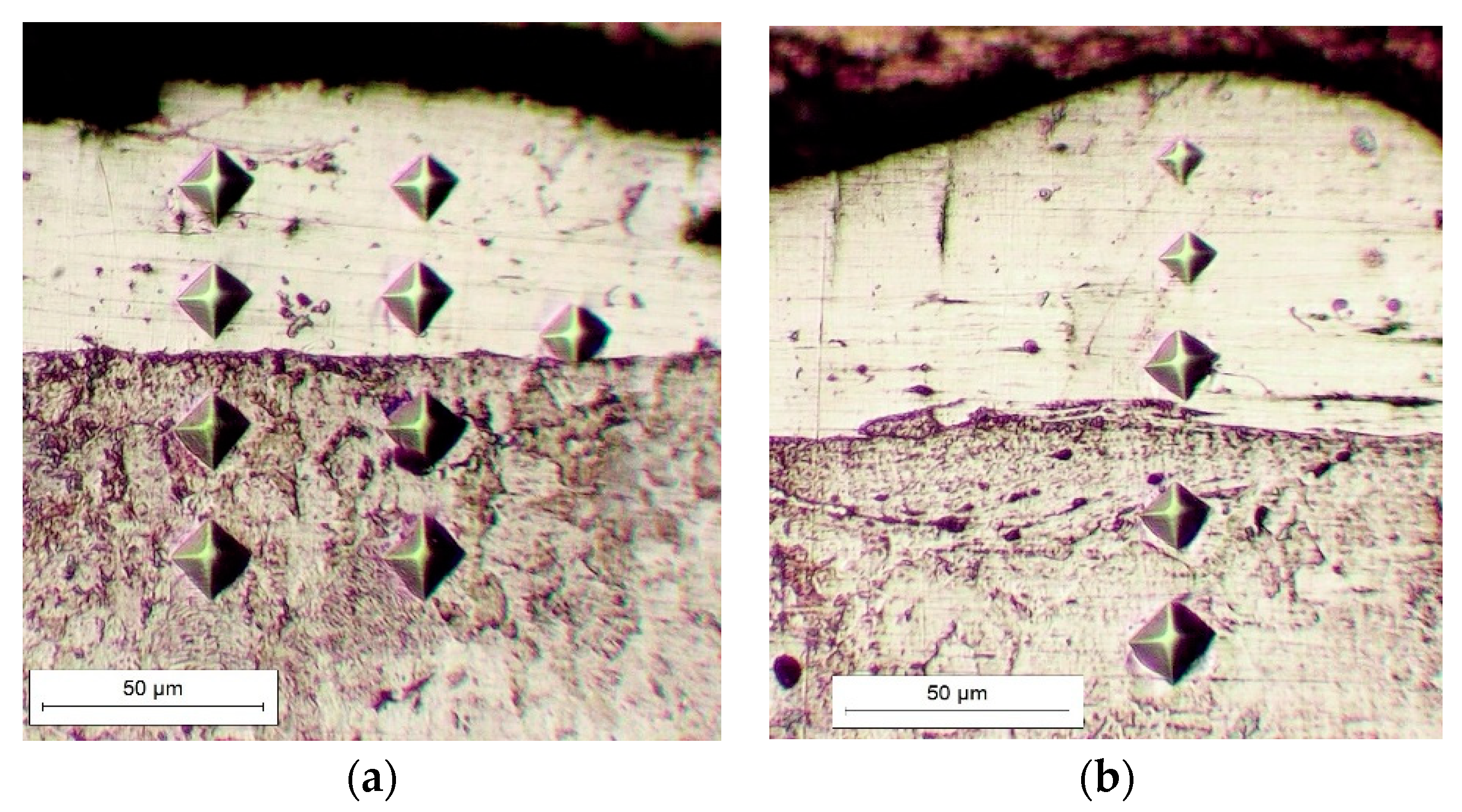 Coatings 13 00651 g009