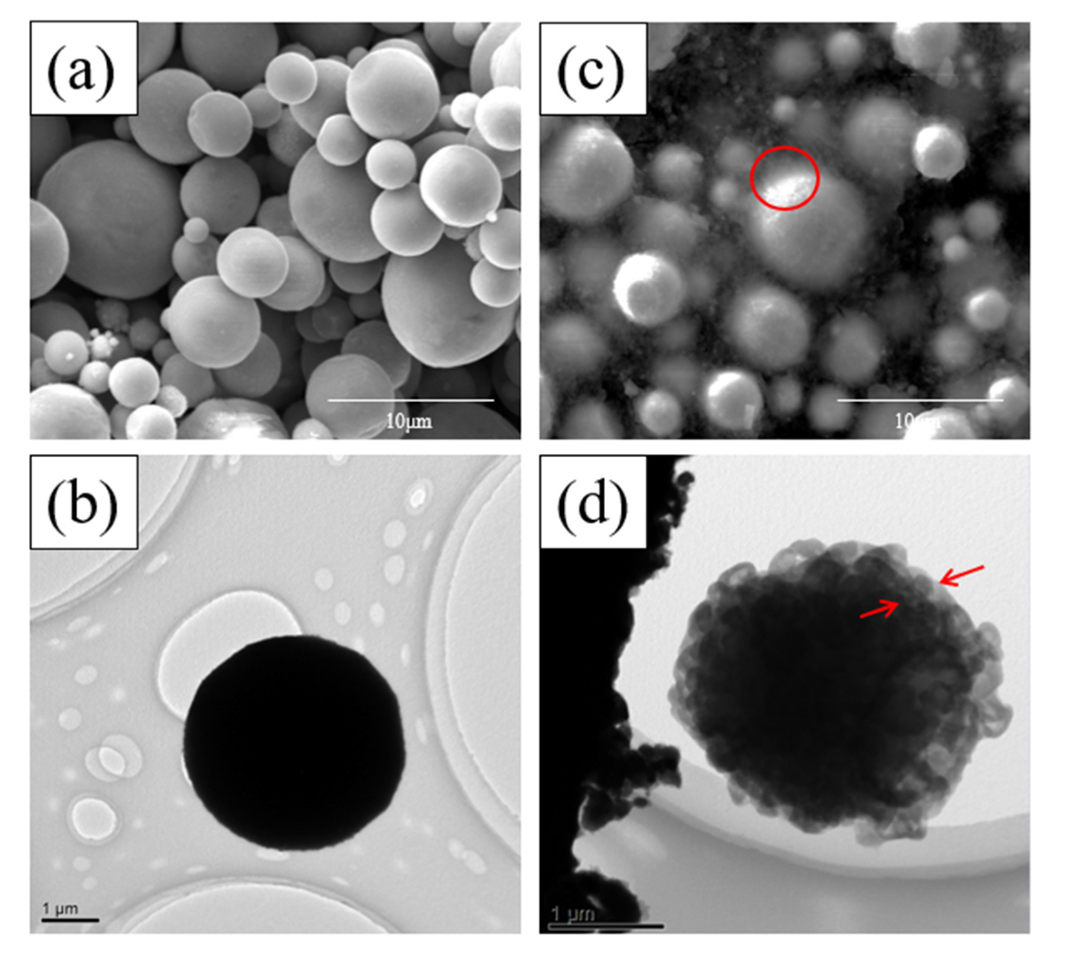 Coatings 13 00652 g003