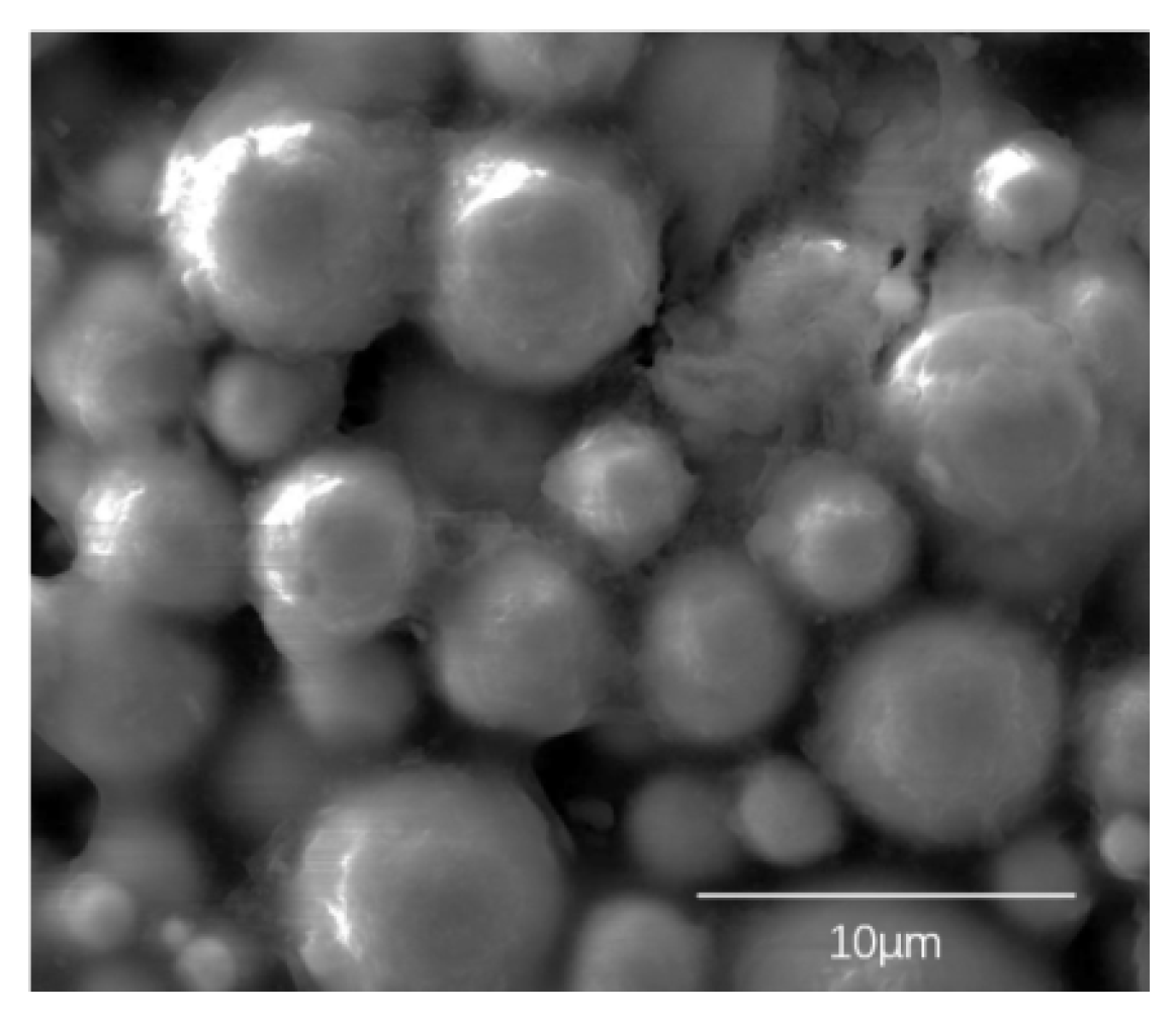 Coatings 13 00652 g005