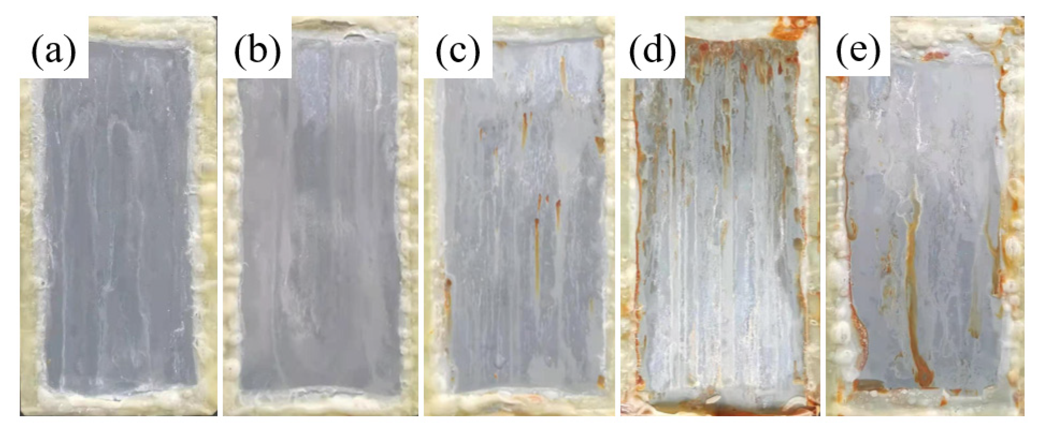 Coatings 13 00652 g007