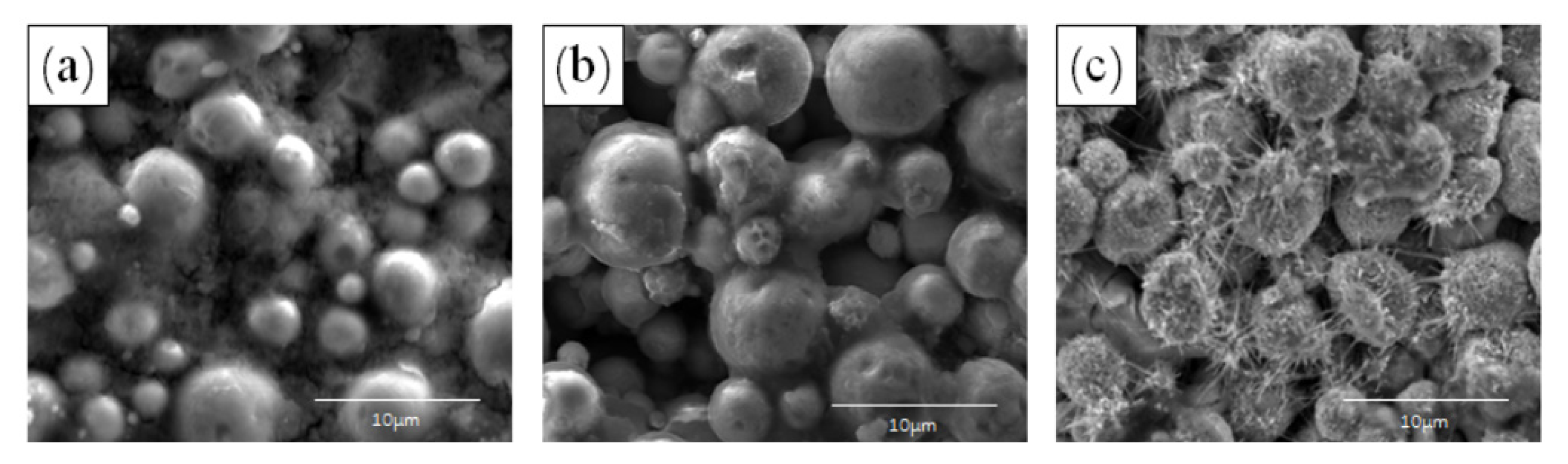 Coatings 13 00652 g009