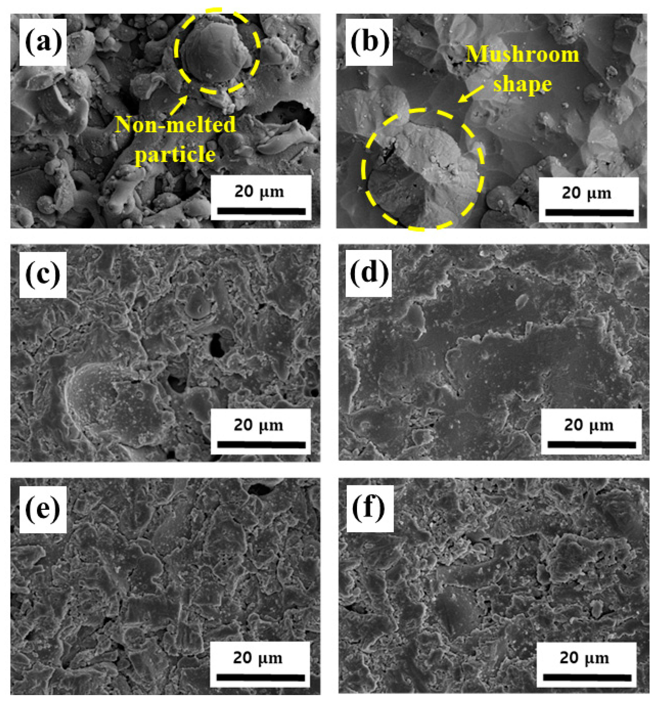 Coatings 13 00653 g005 Coatings 13 00653 g005