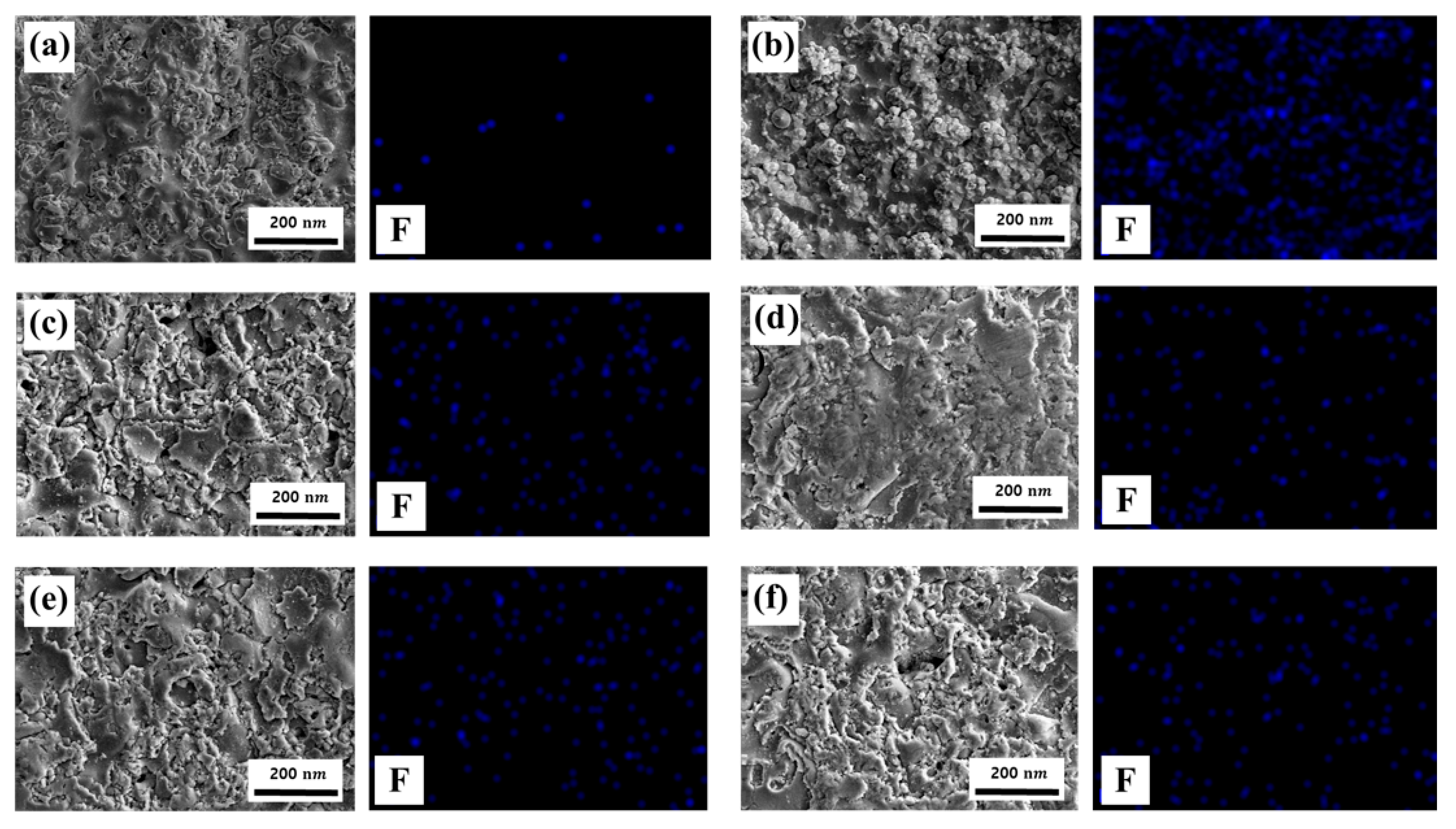 Coatings 13 00653 g006 Coatings 13 00653 g006