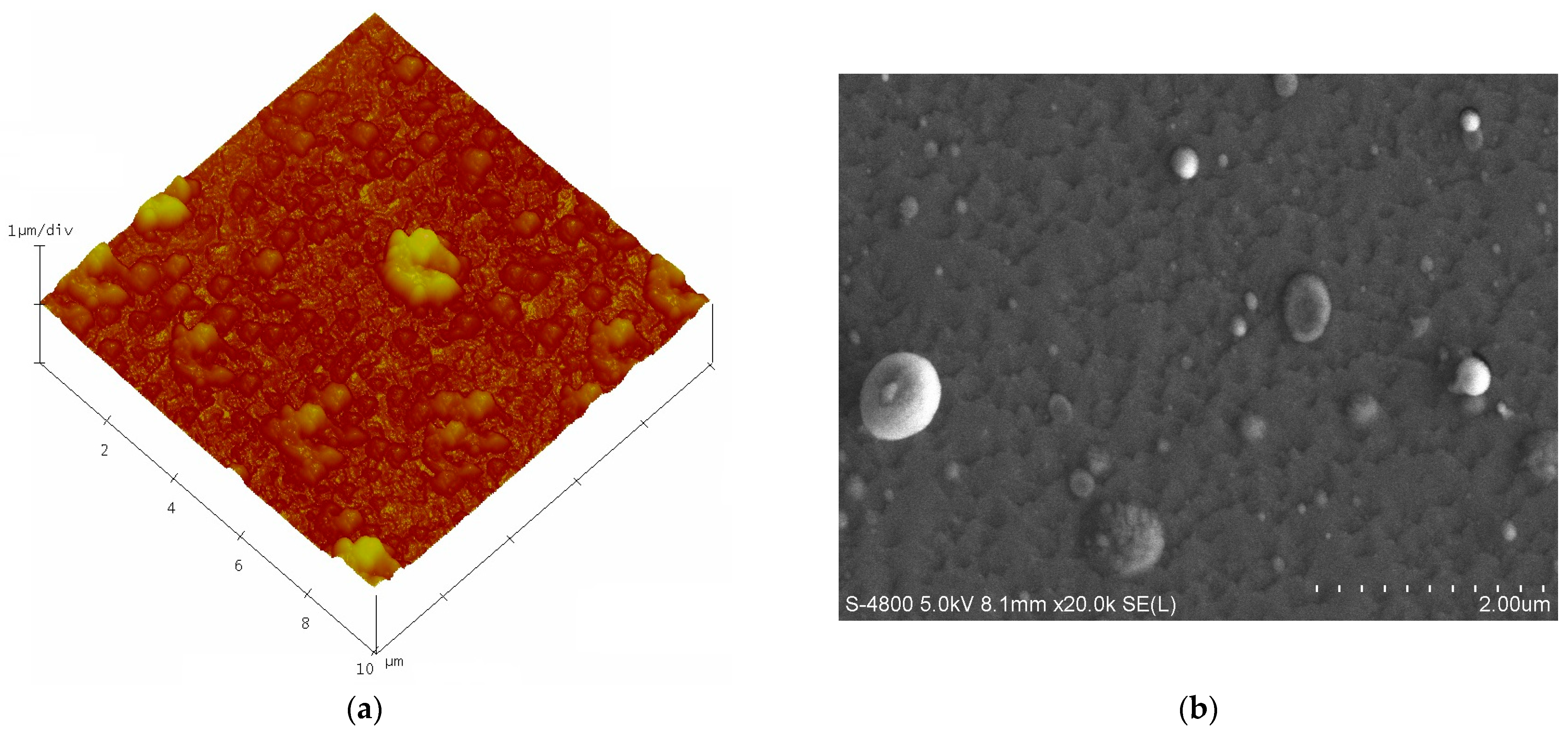 Coatings 13 00654 g002