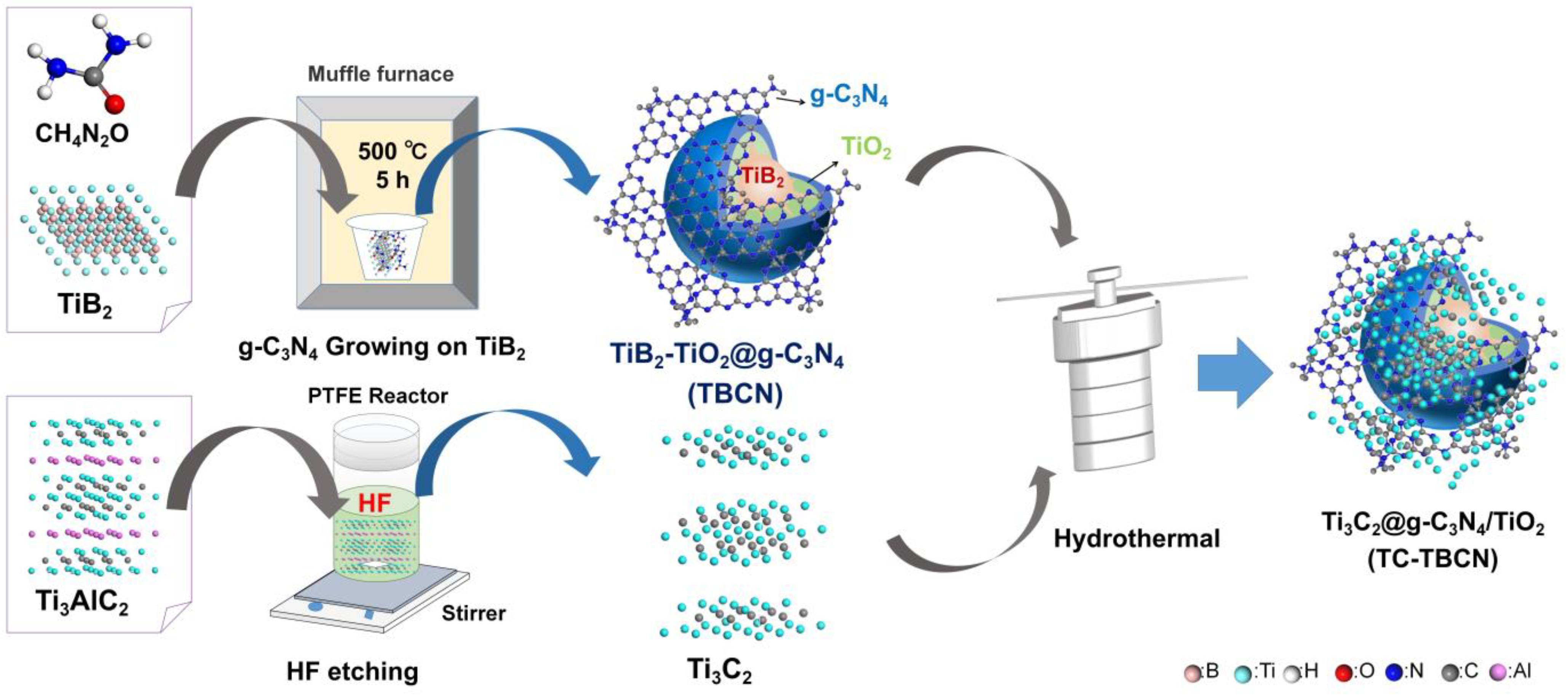 Coatings 13 00655 g001