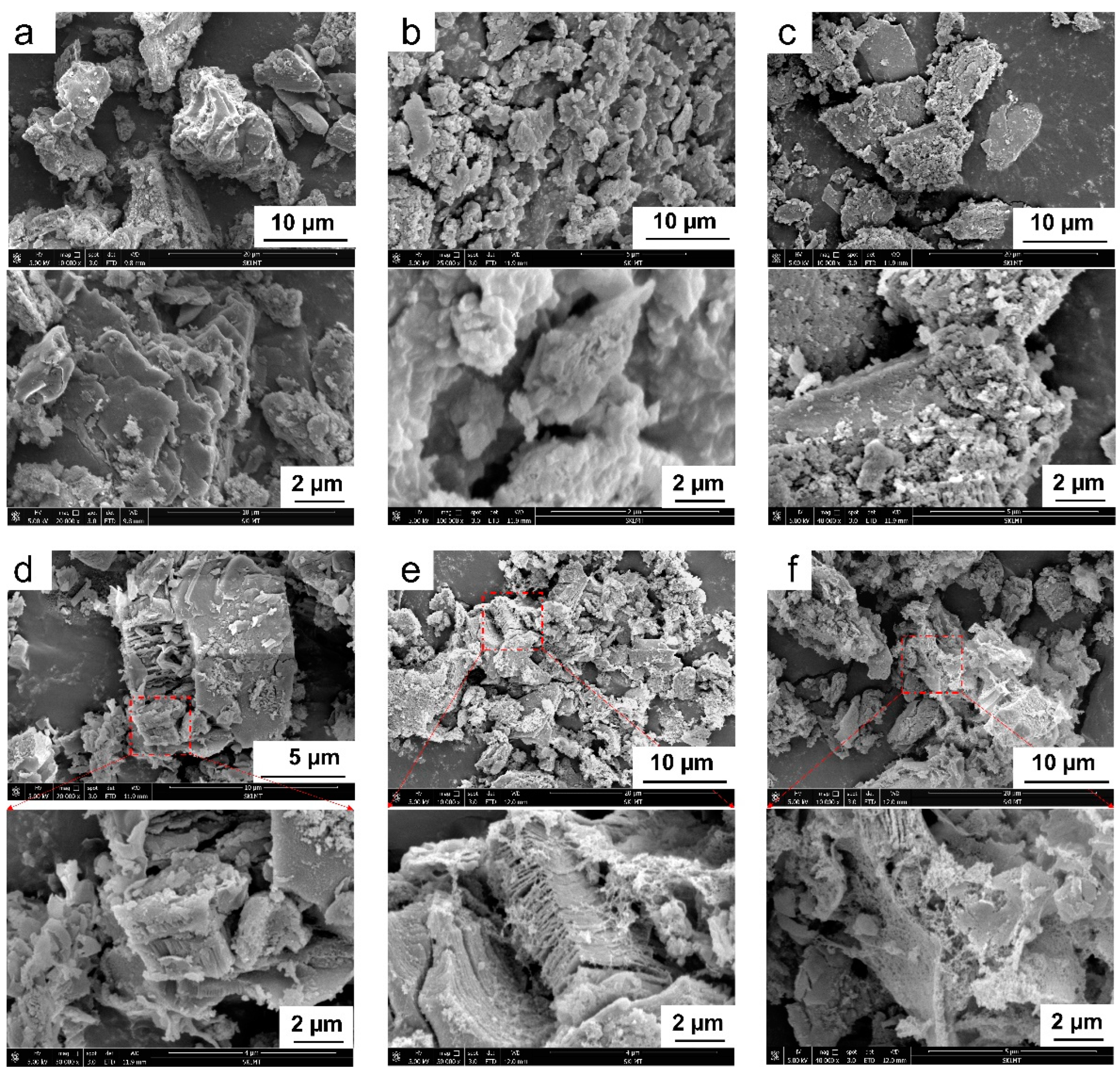 Coatings 13 00655 g004