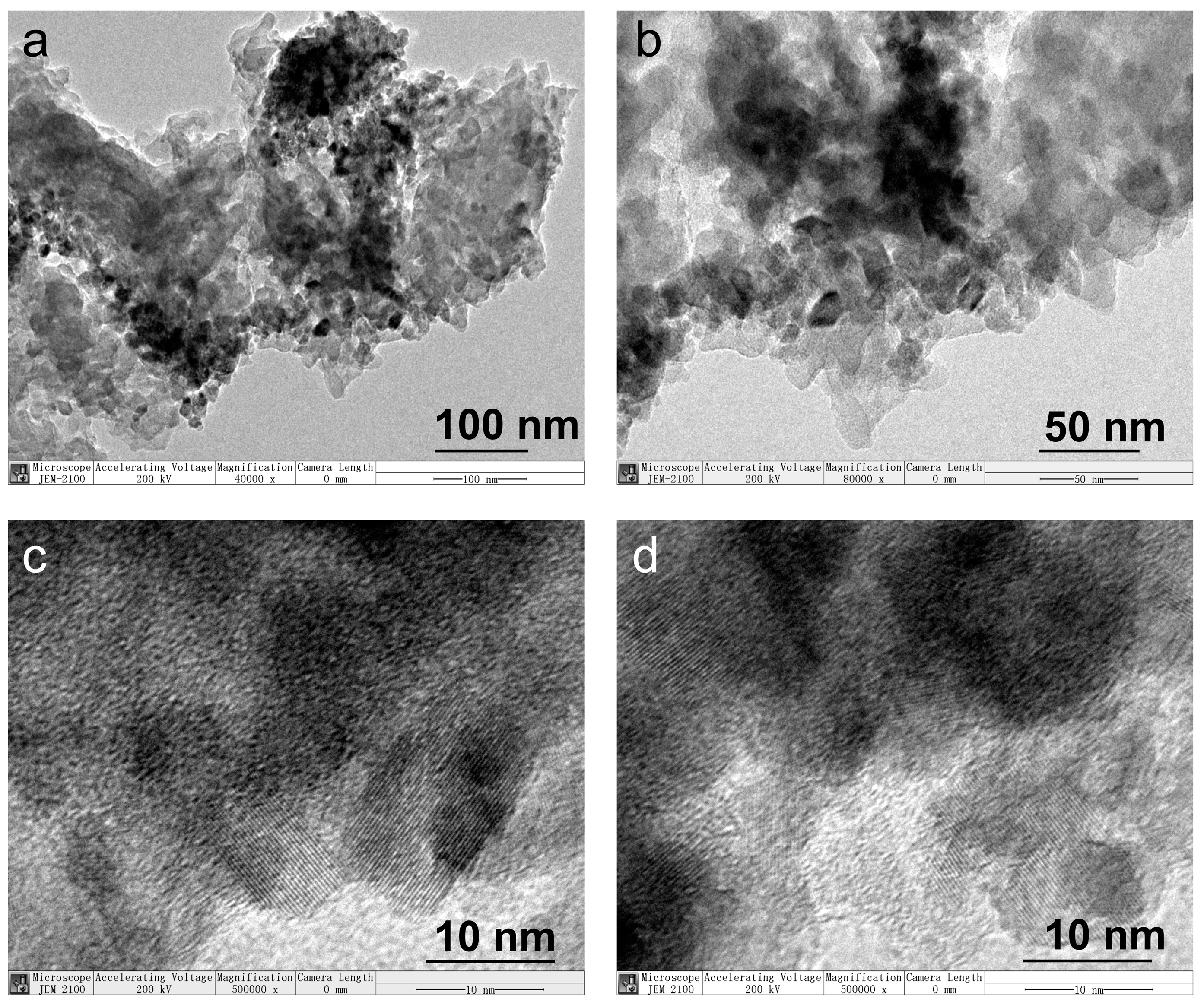 Coatings 13 00655 g005