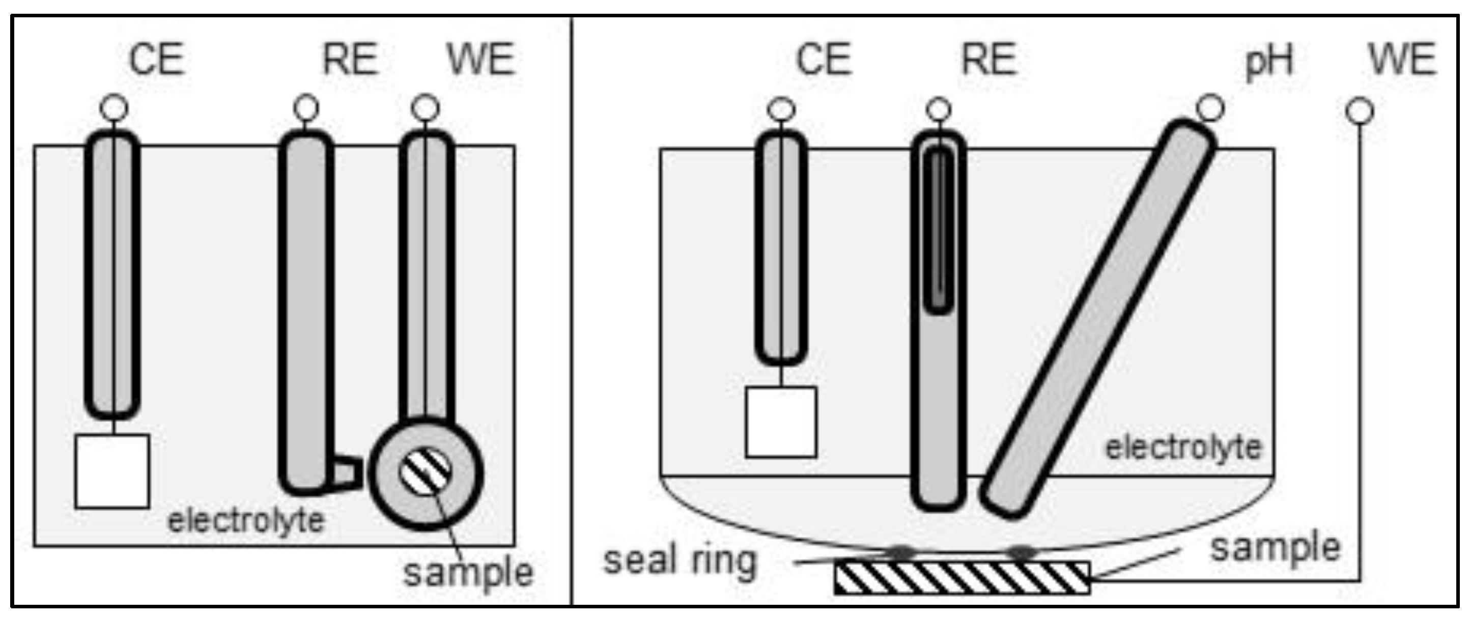 Coatings 13 00656 g001