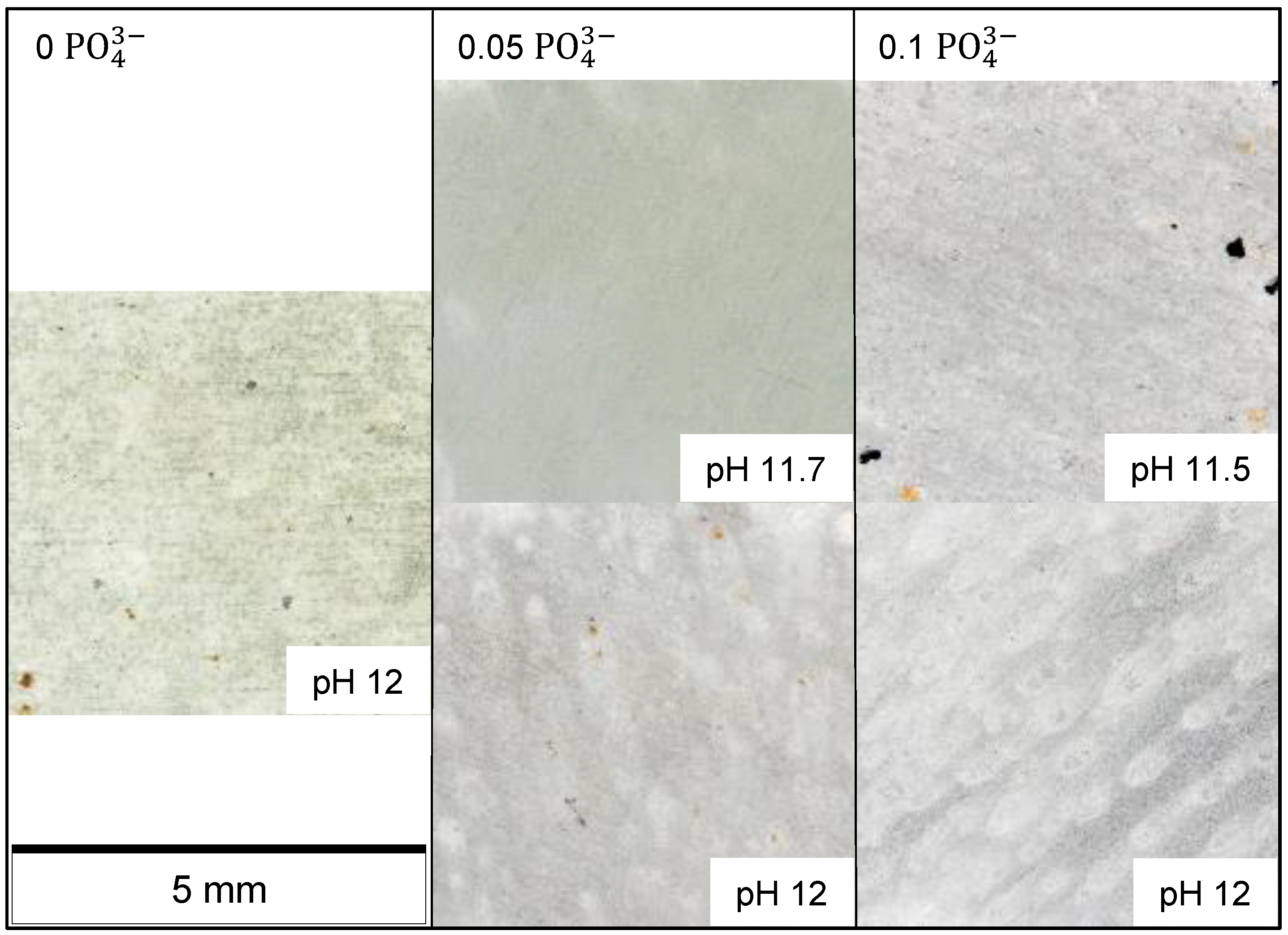 Coatings 13 00656 g005